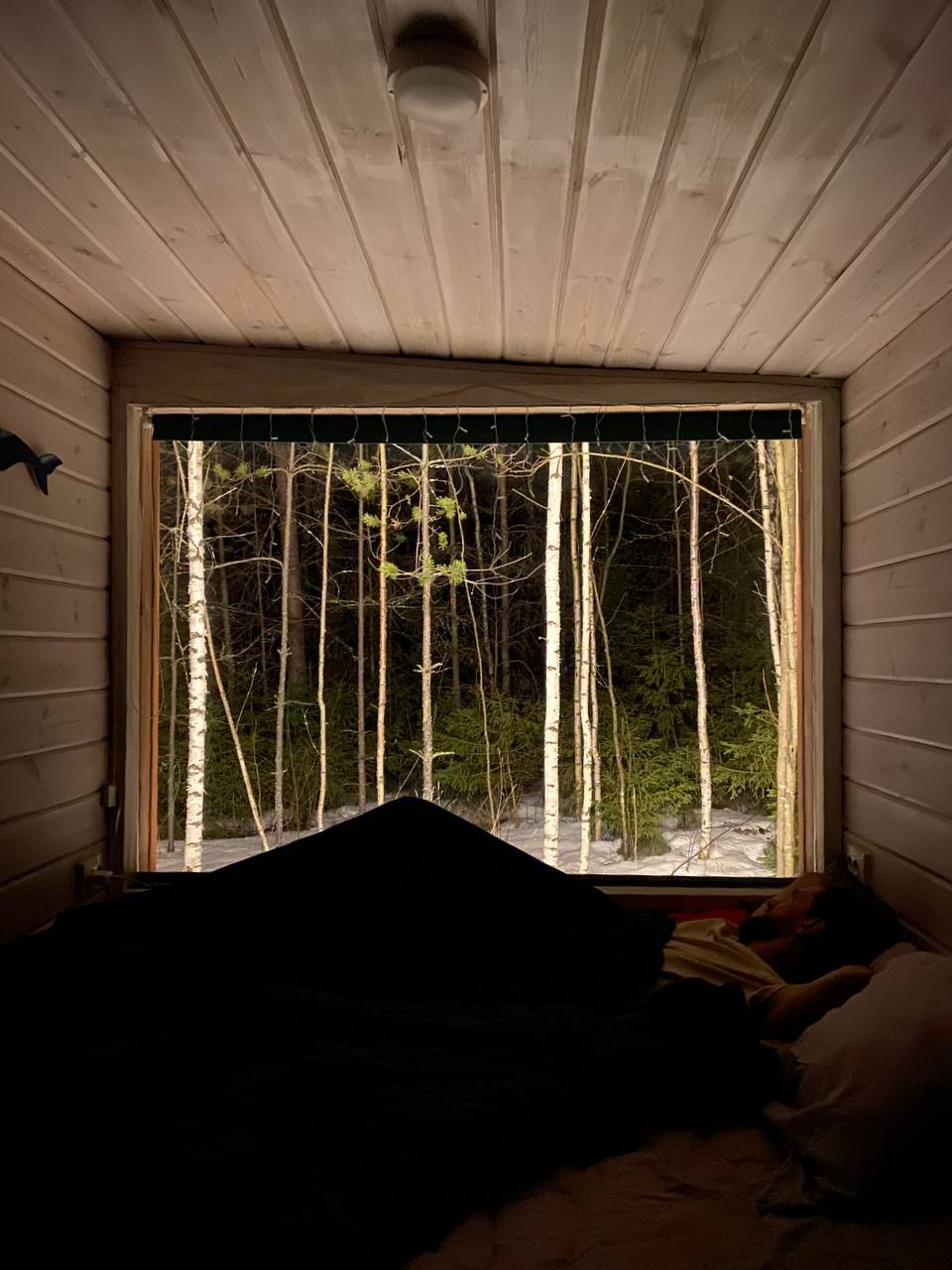 Фото Дом Китов