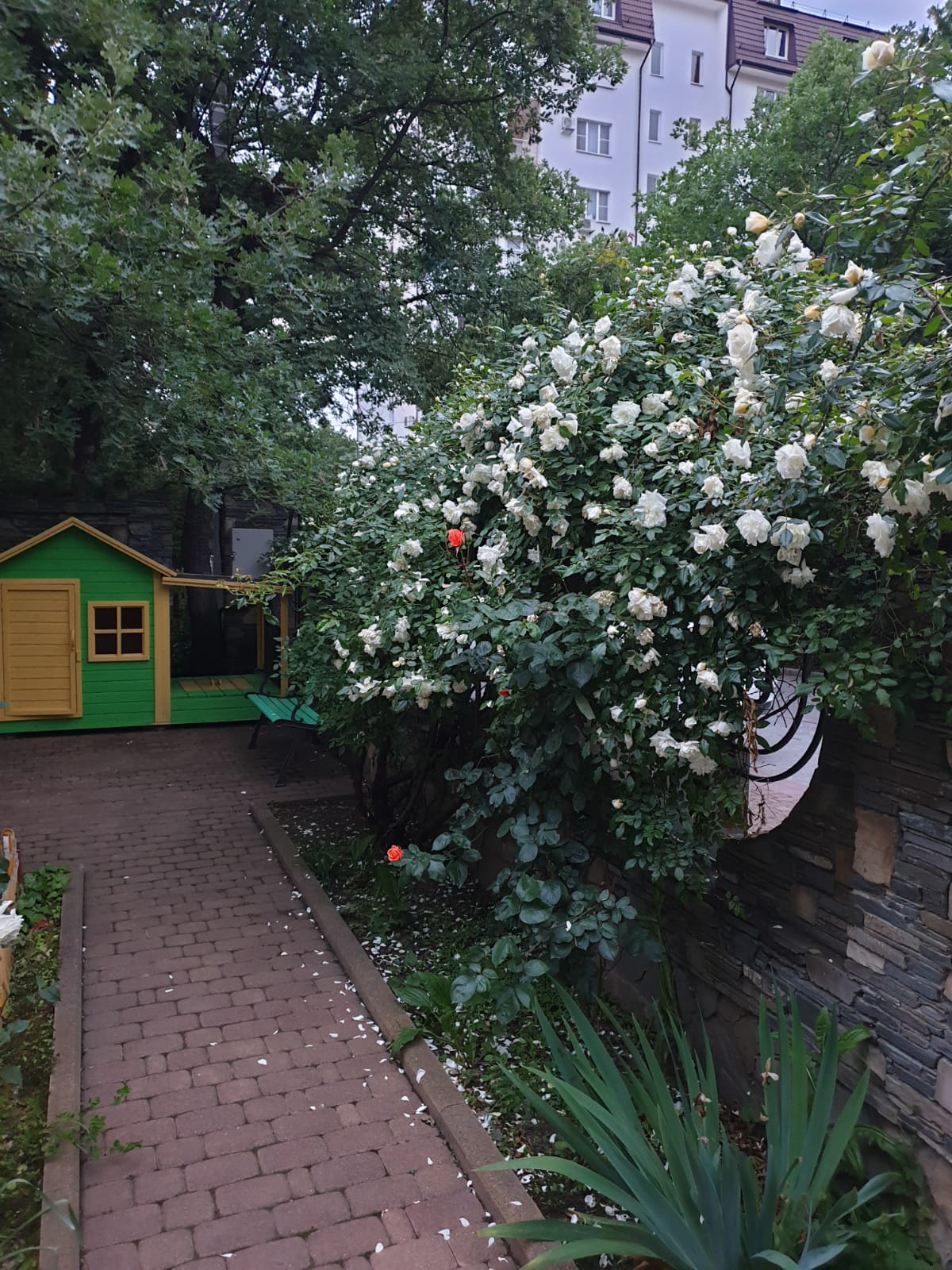 Фото Лукоморье на Лазурной