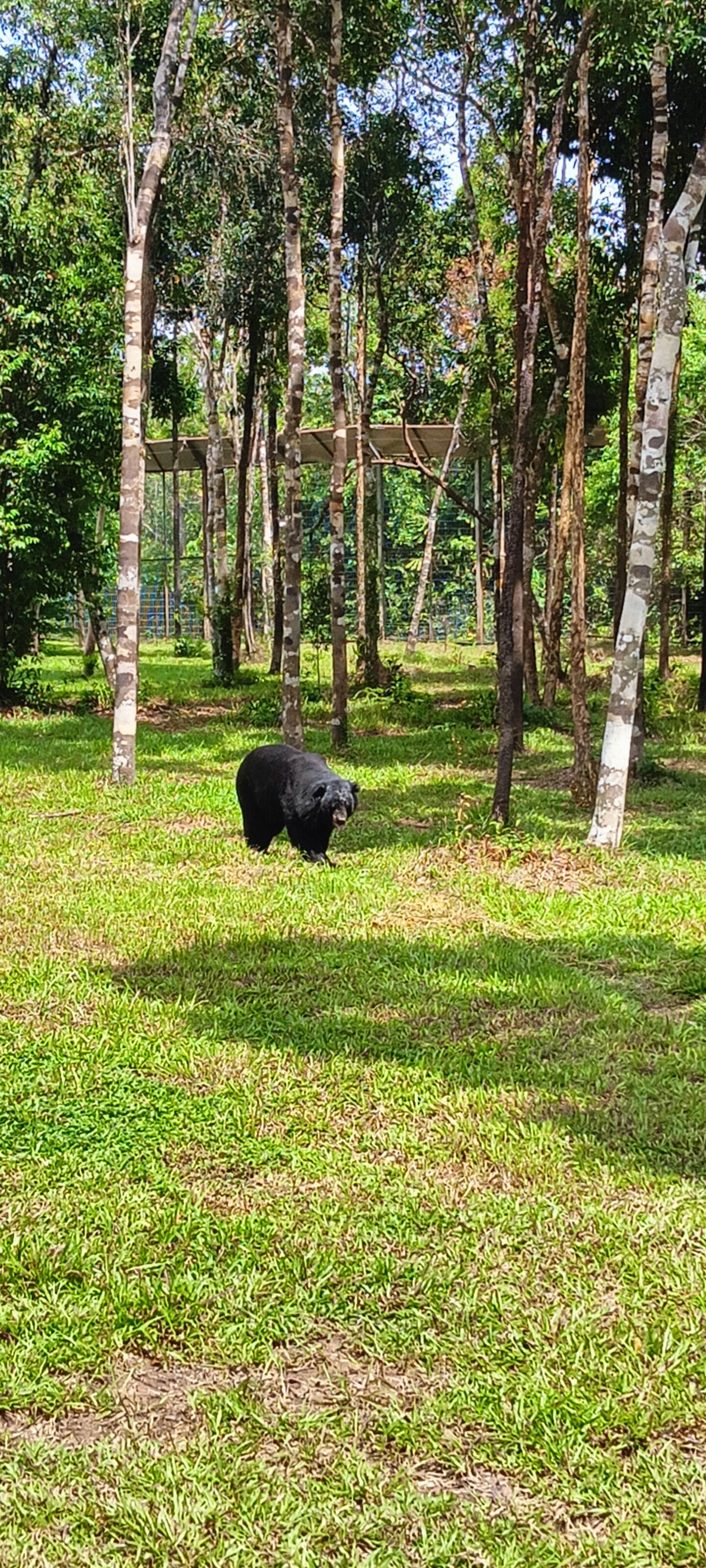 Фото Sea Star Resort, Phu Quoc