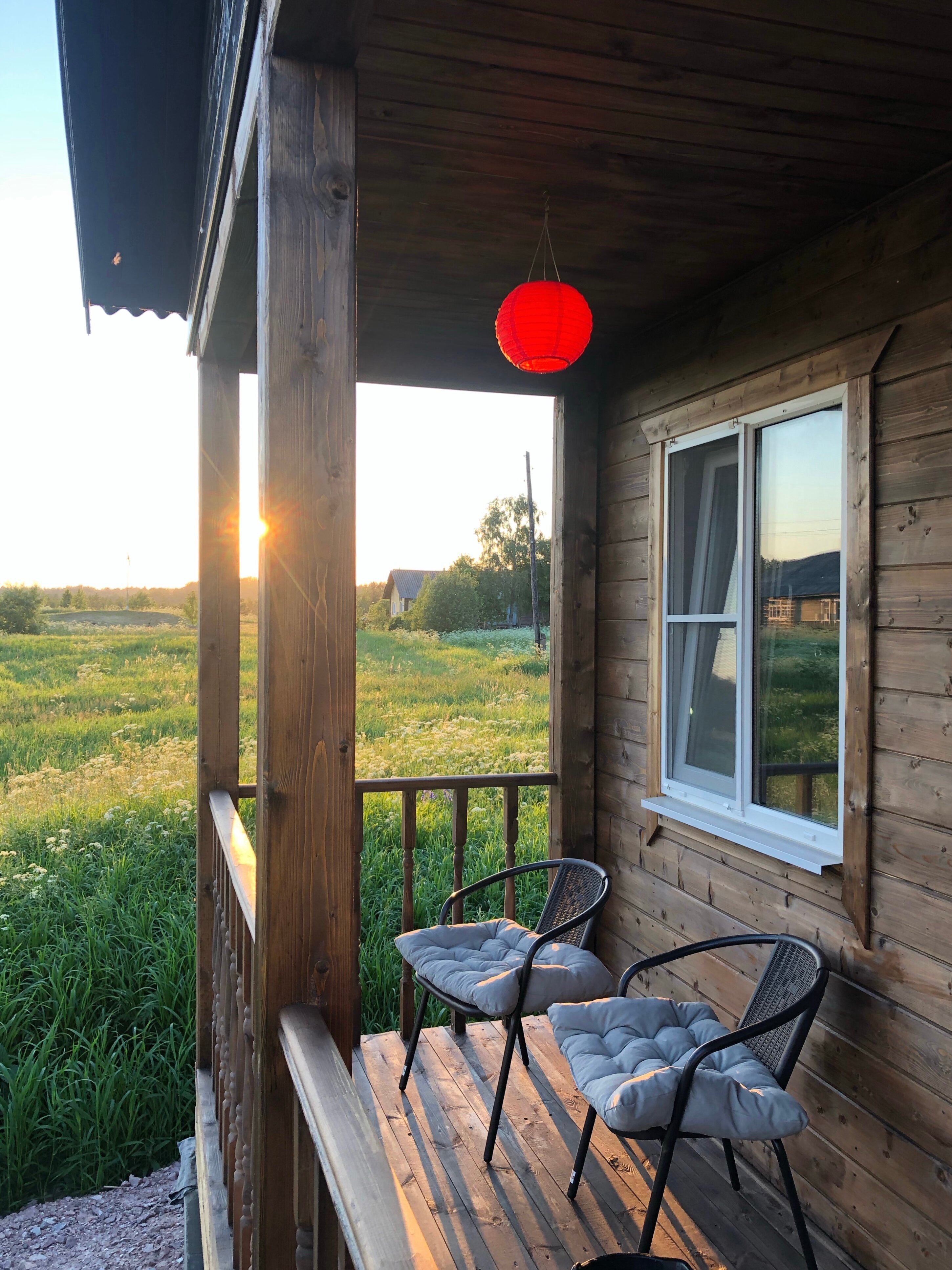 Фото Кот и Лось