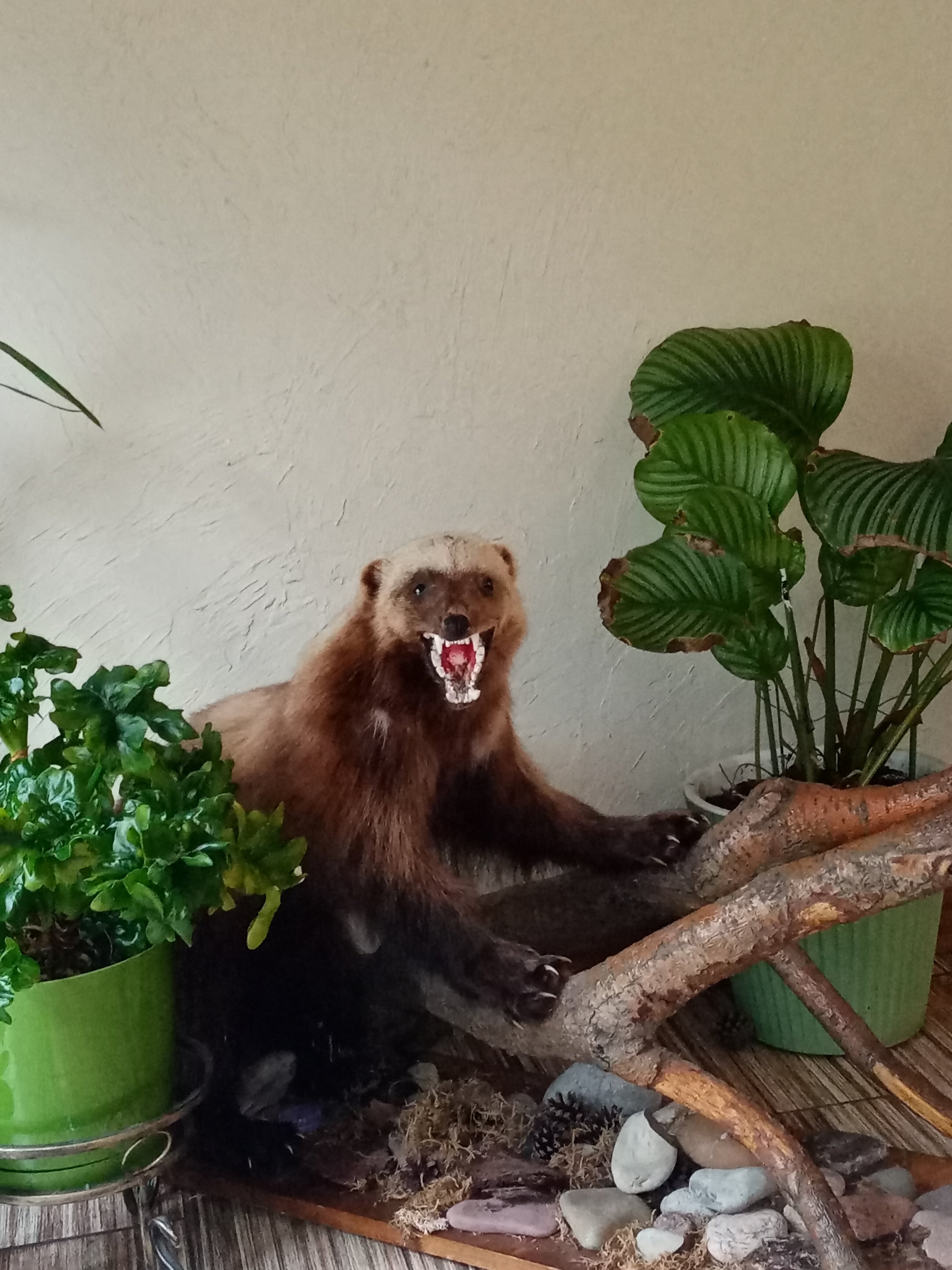 Фото Дом рыболова