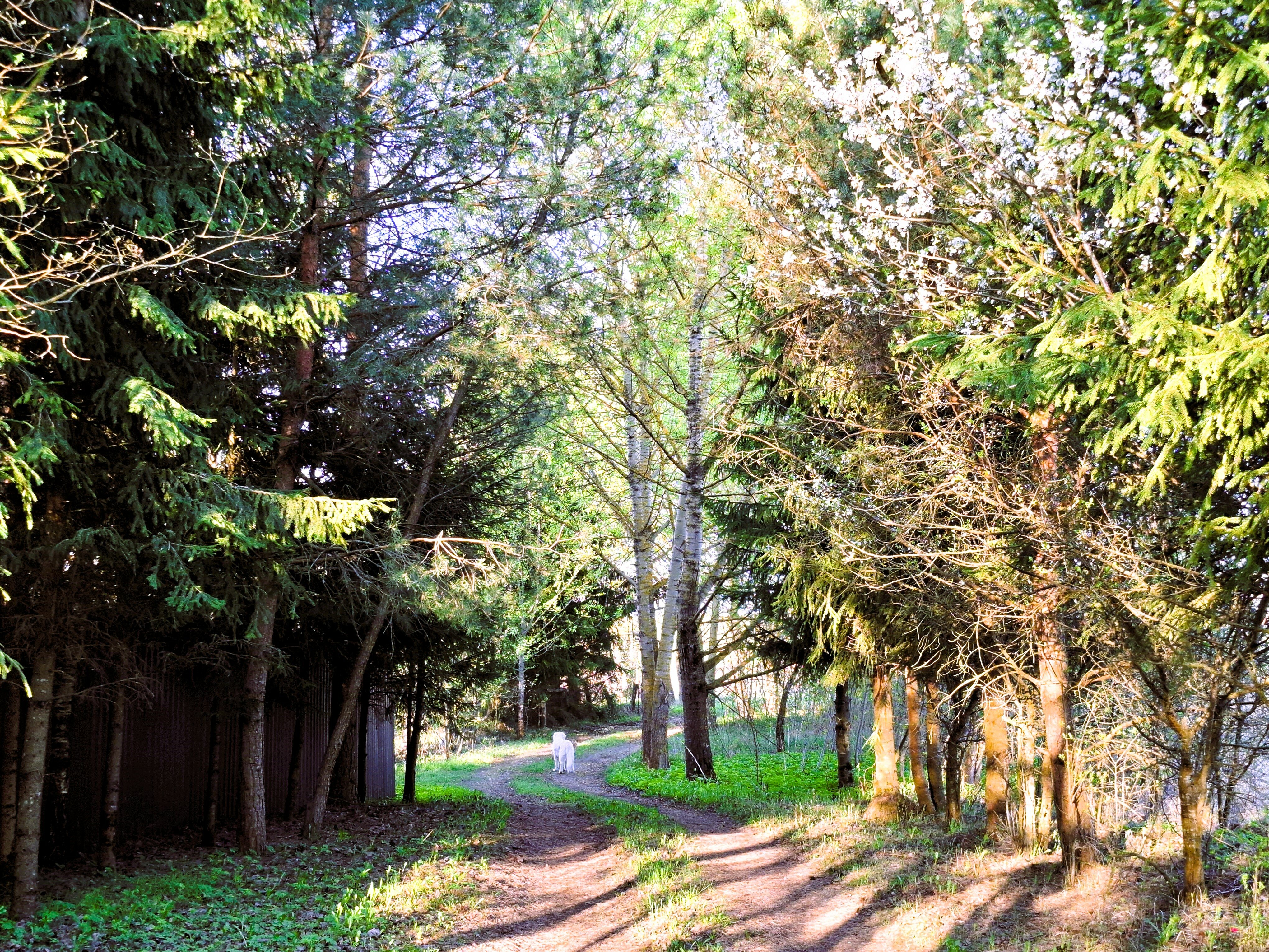 Фото Поместье Старый замок