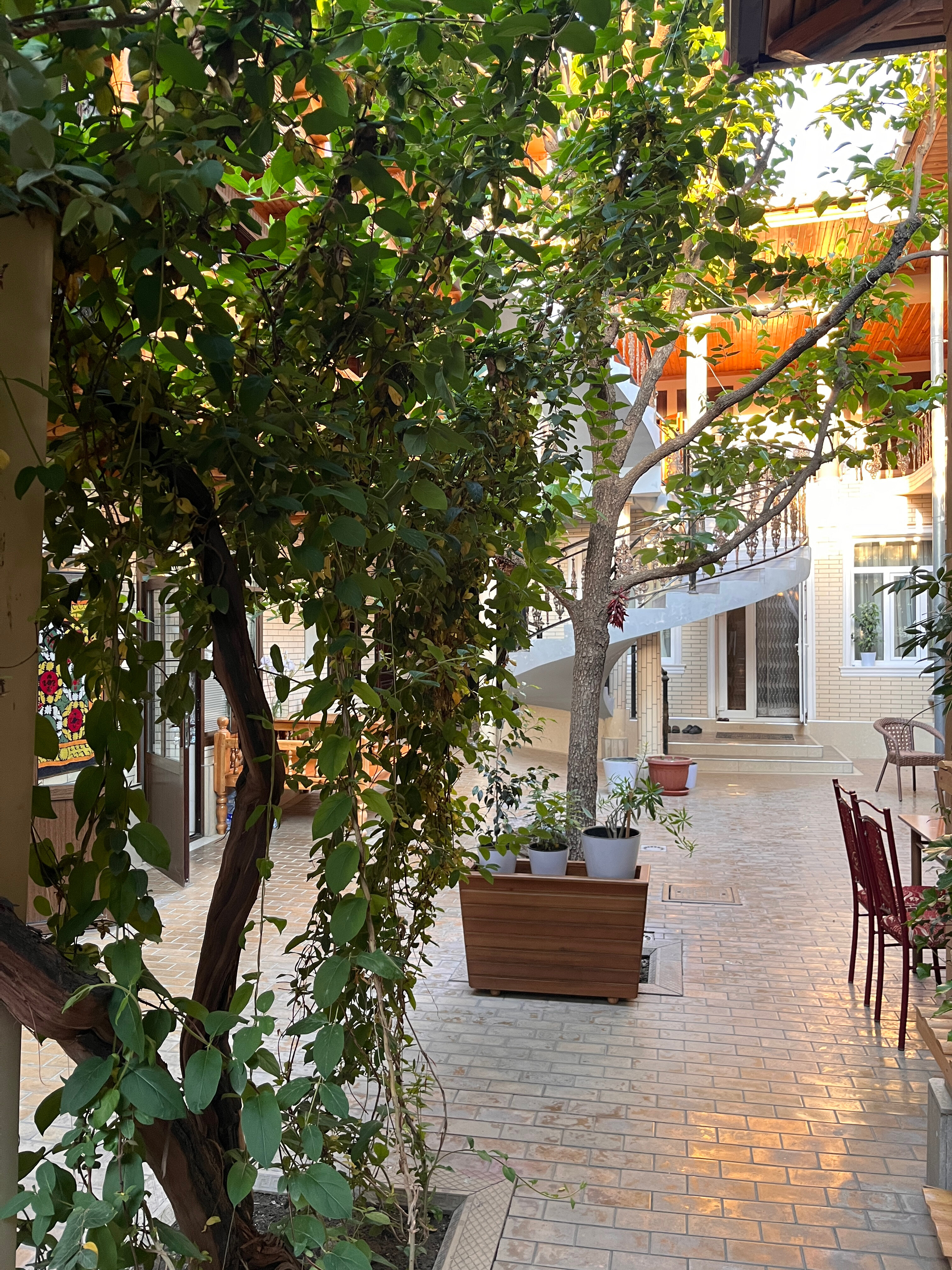 Фото Dilshoda Prime