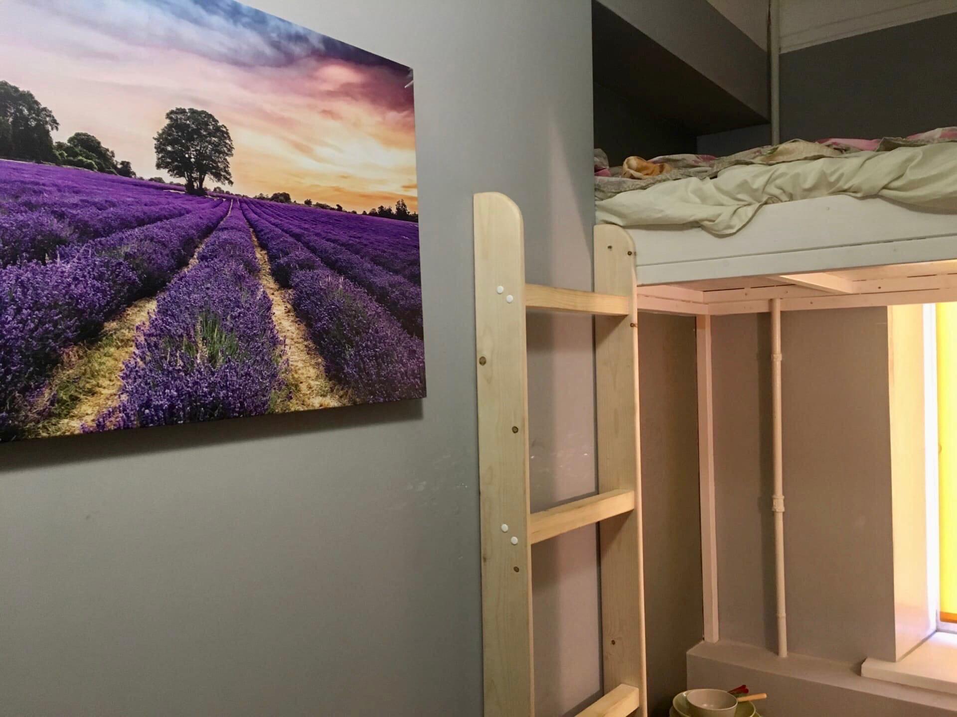 Фото Spbinn Marko