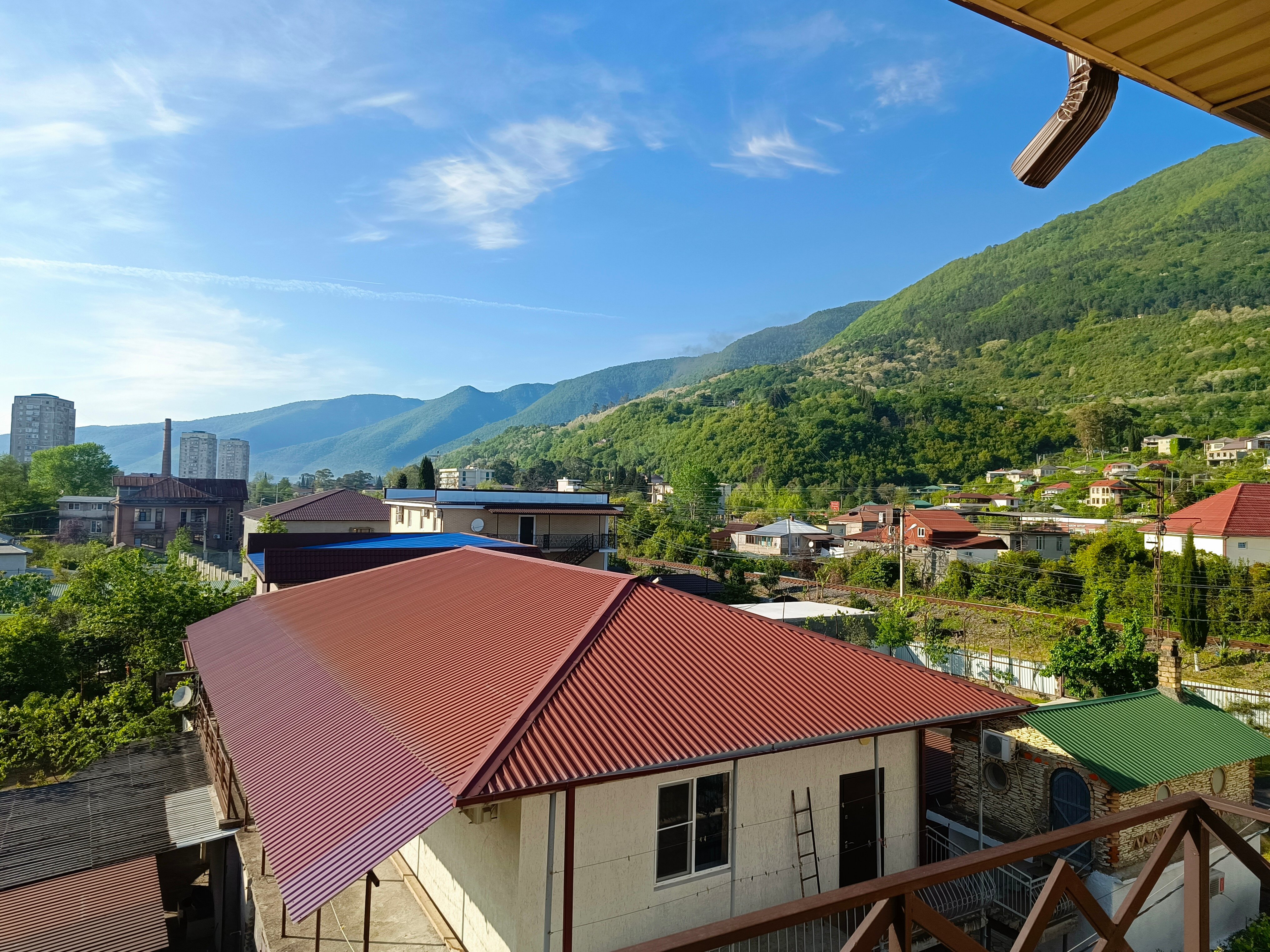 Фото Таминик