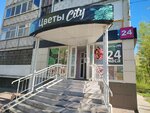 Цветы city (Gazovikov Street, 23) ، محل زهور