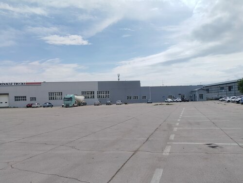 Brody bilan jinsiy aloqa qilish