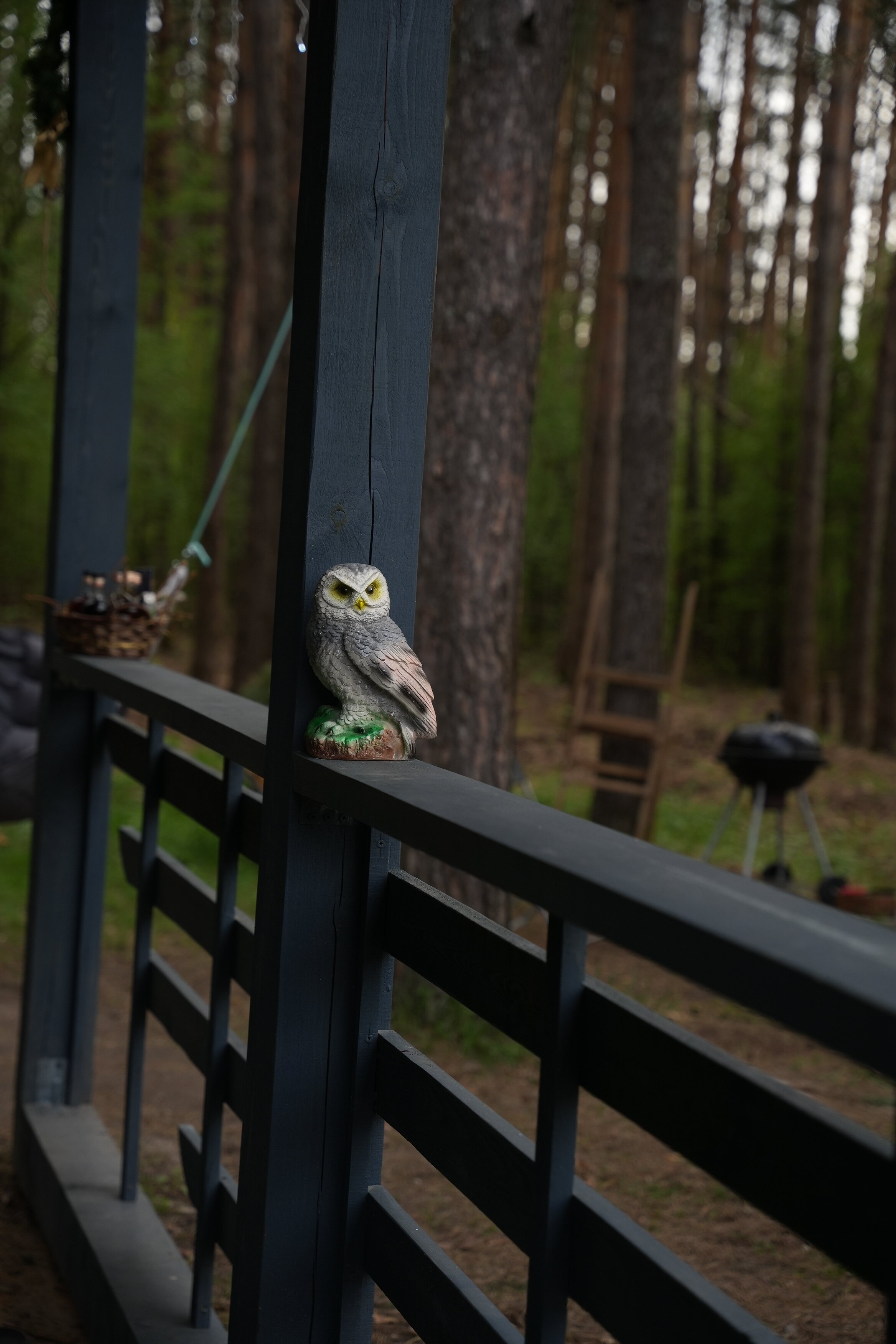 Фото Сова Эко дом с чаном