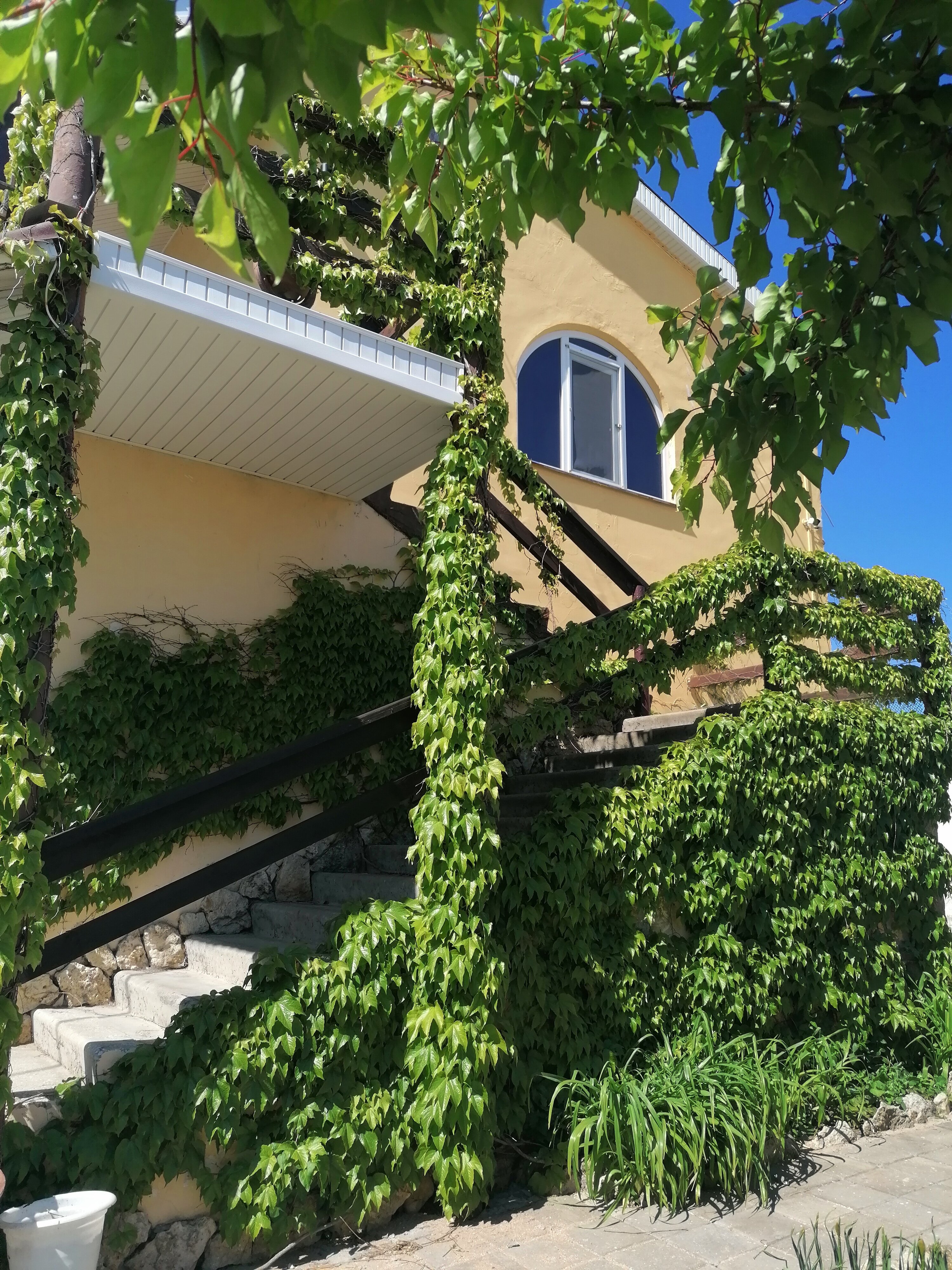 Фото Welcome Голубой залив