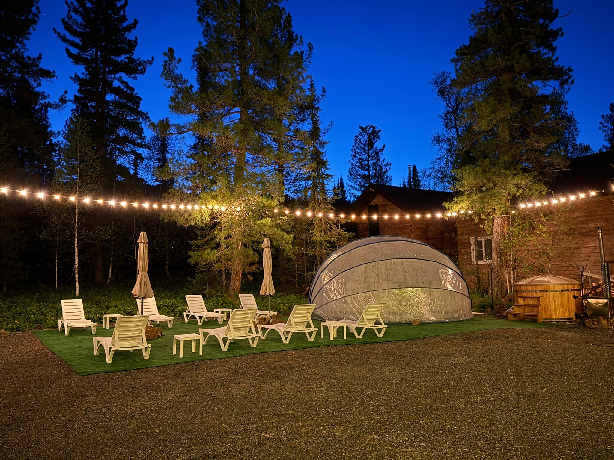 Фото Кедрофф-Геш