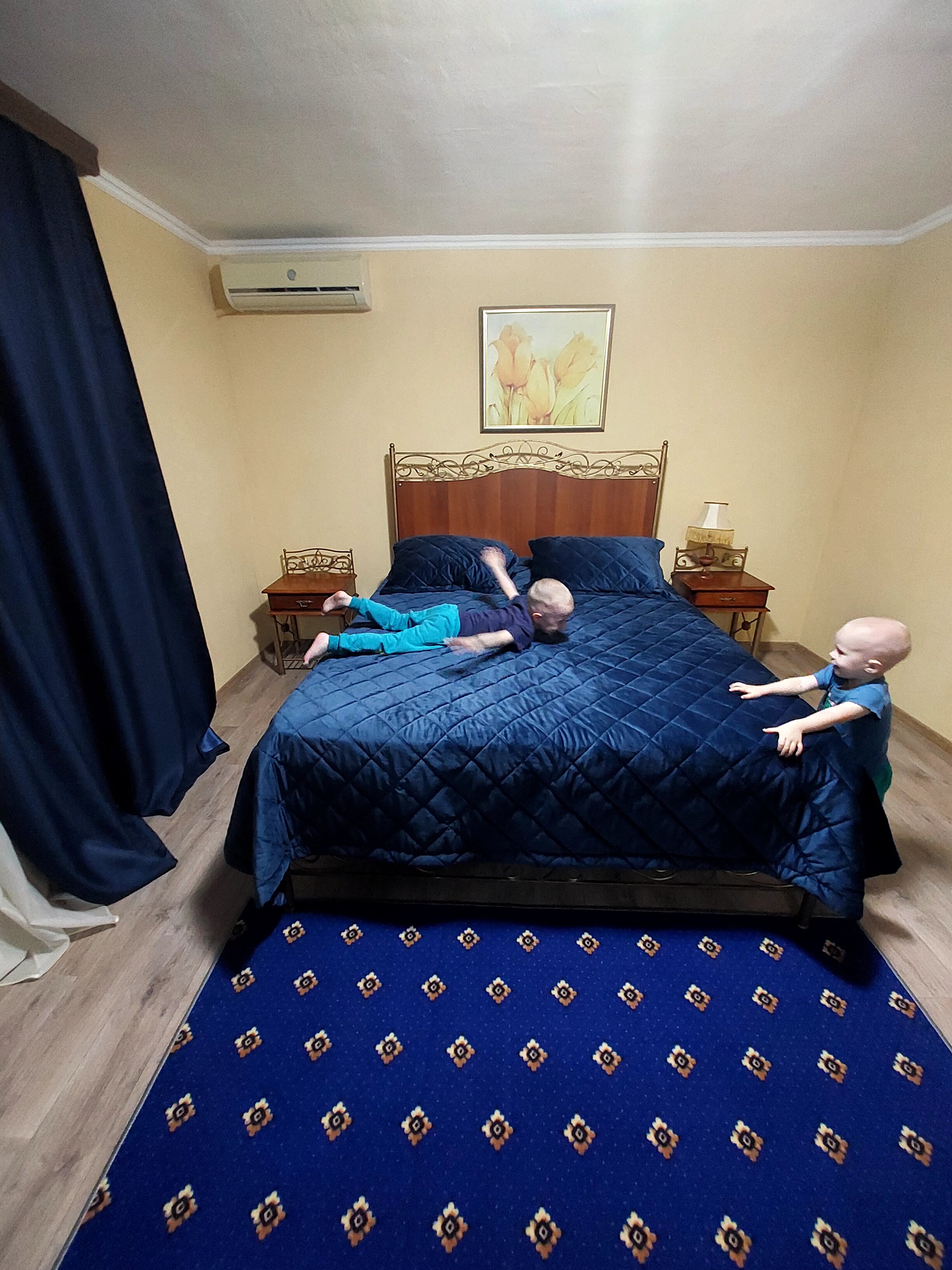 Фото Тюльпан