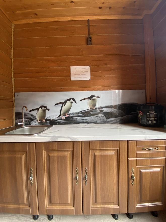 Фото АЛьТАИр