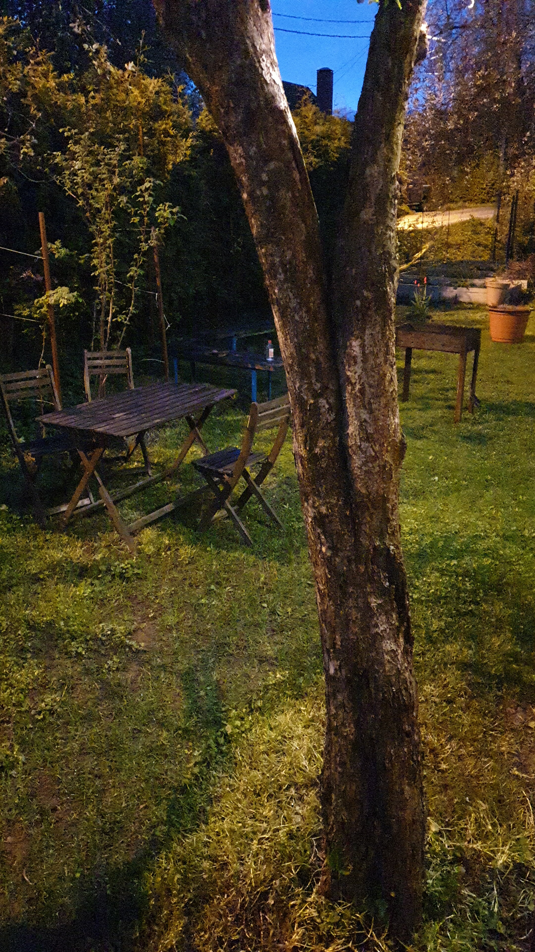 Фото Alex Петергофф