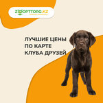 ZooOptTorg.kz (Aqsaı-2 shaǵyn aýdany, 54), pet shop