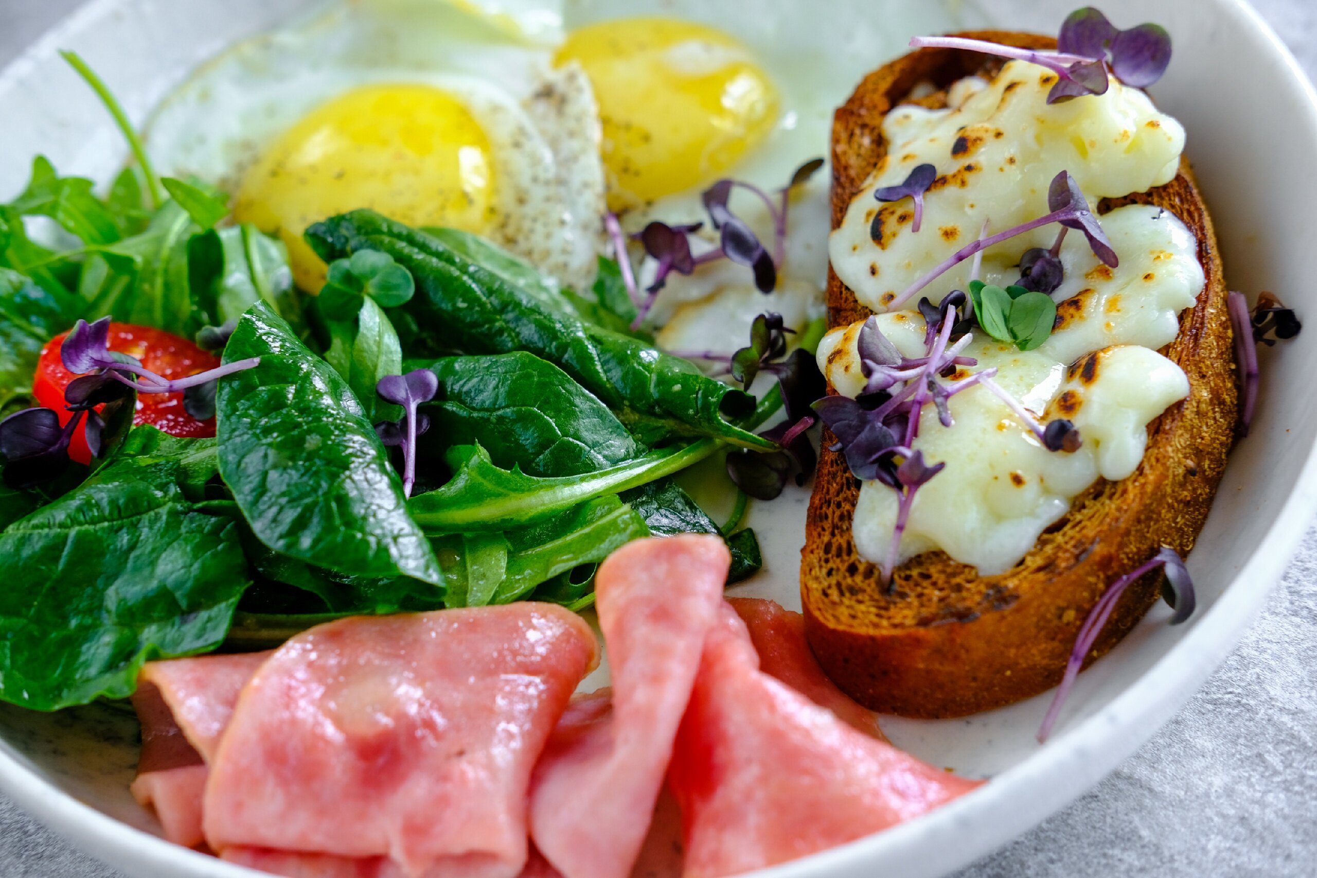 Фото Альбатрос