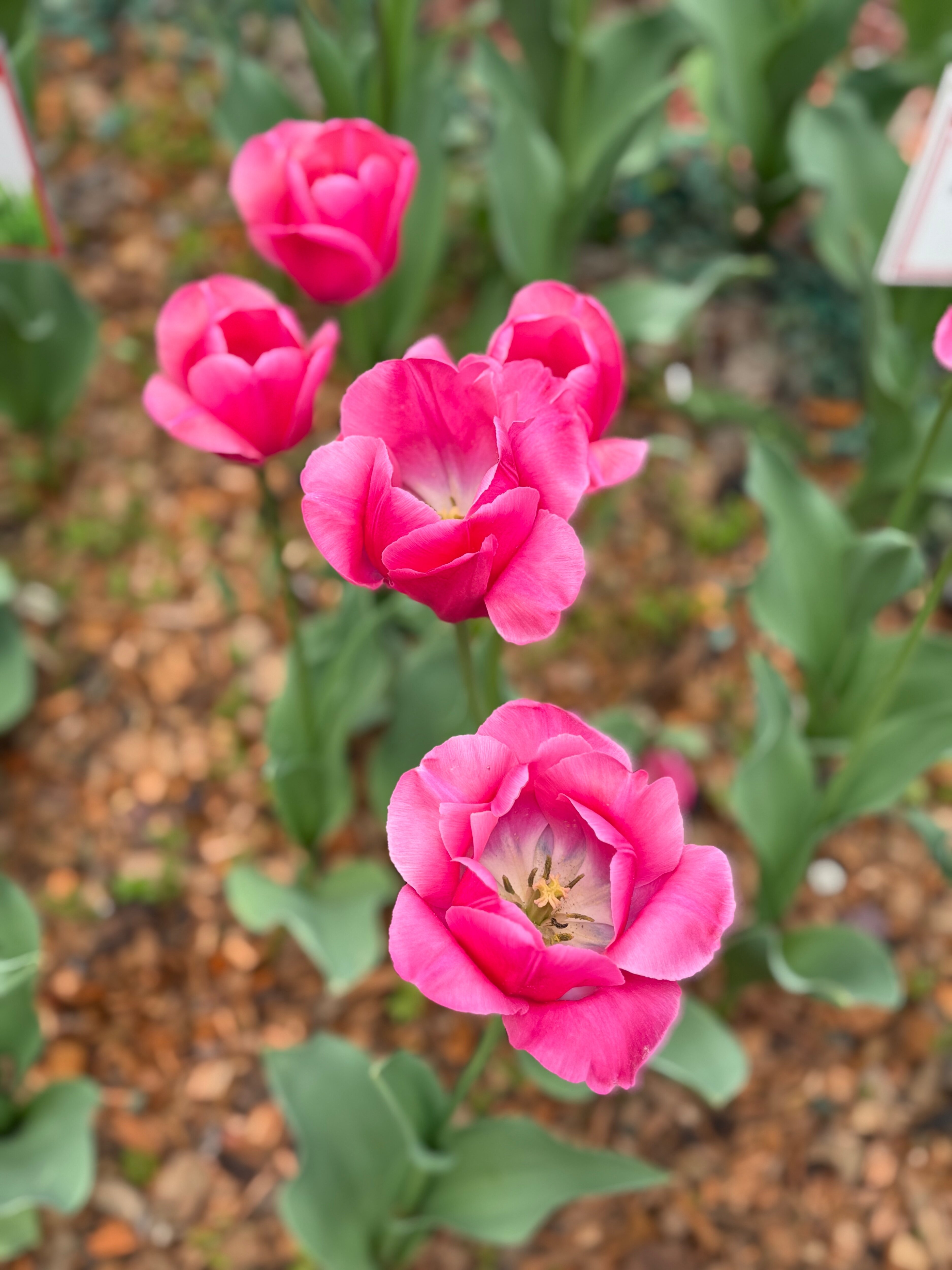 Фото Инвайт Отель Марьино