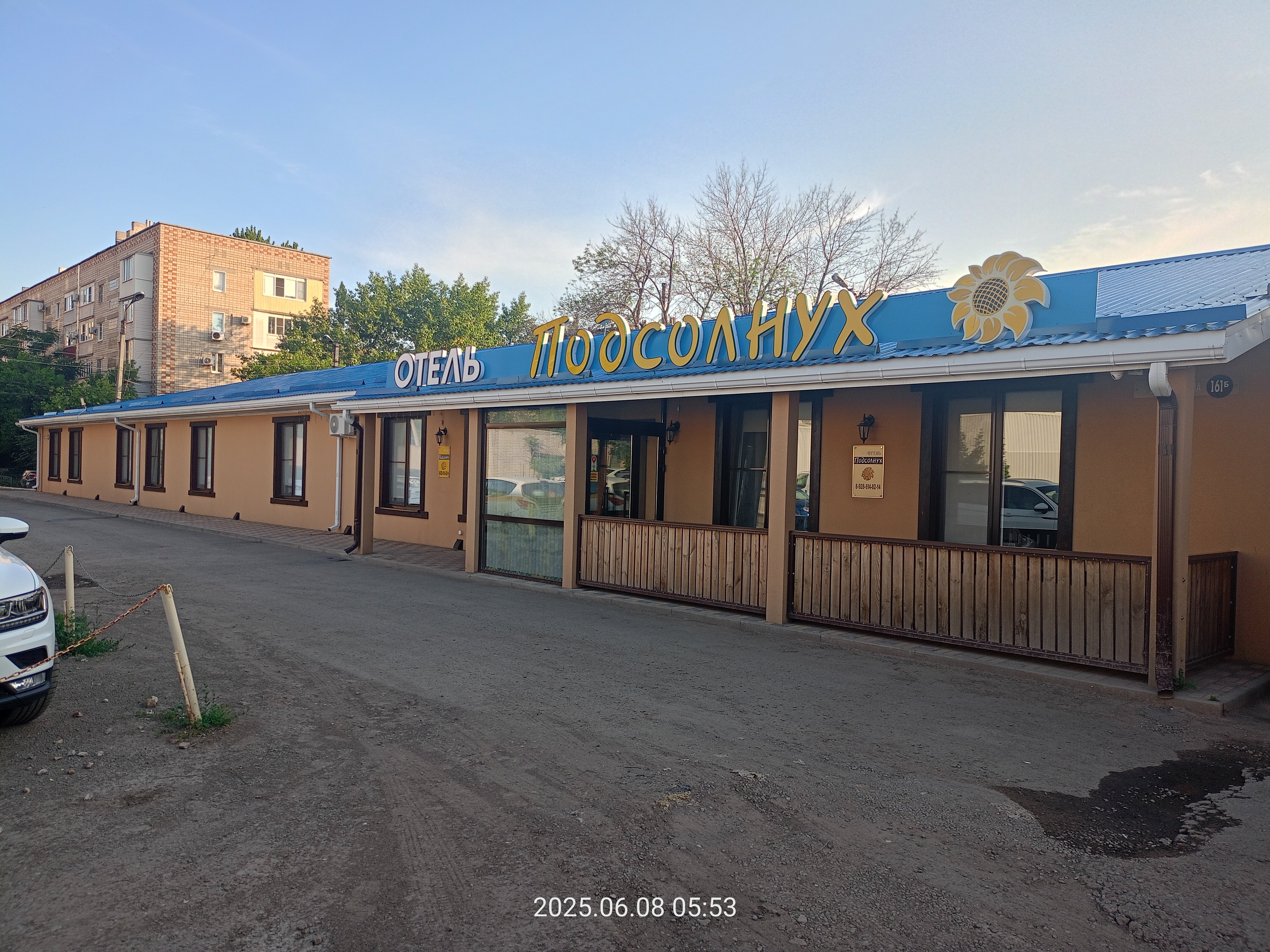 Фото Подсолнух