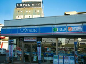 Гостиница Business Hotel 910