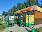 Рассада (Mira Street, 101В) ، متجر مستلزمات البستنة
