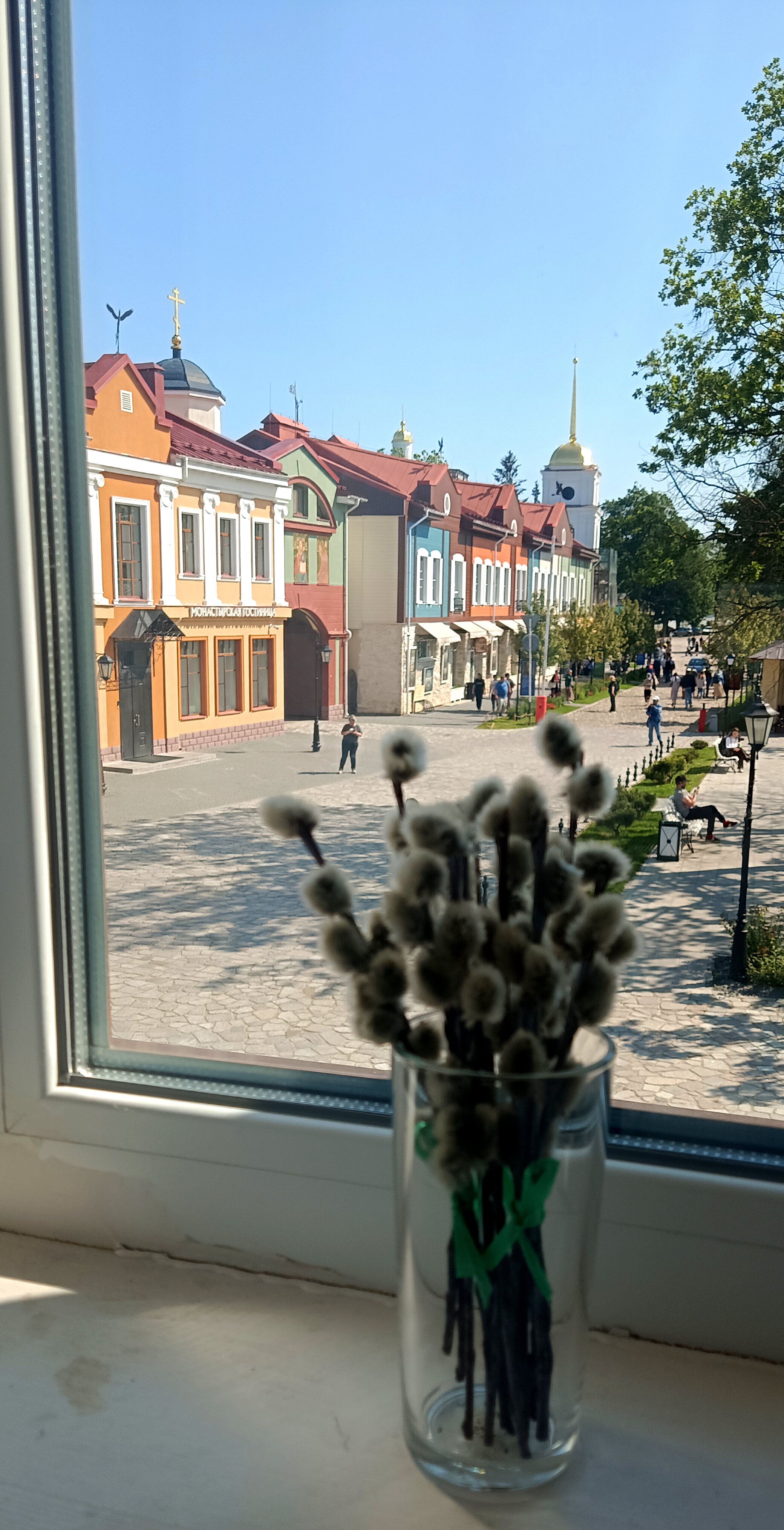 Фото Королевский пень