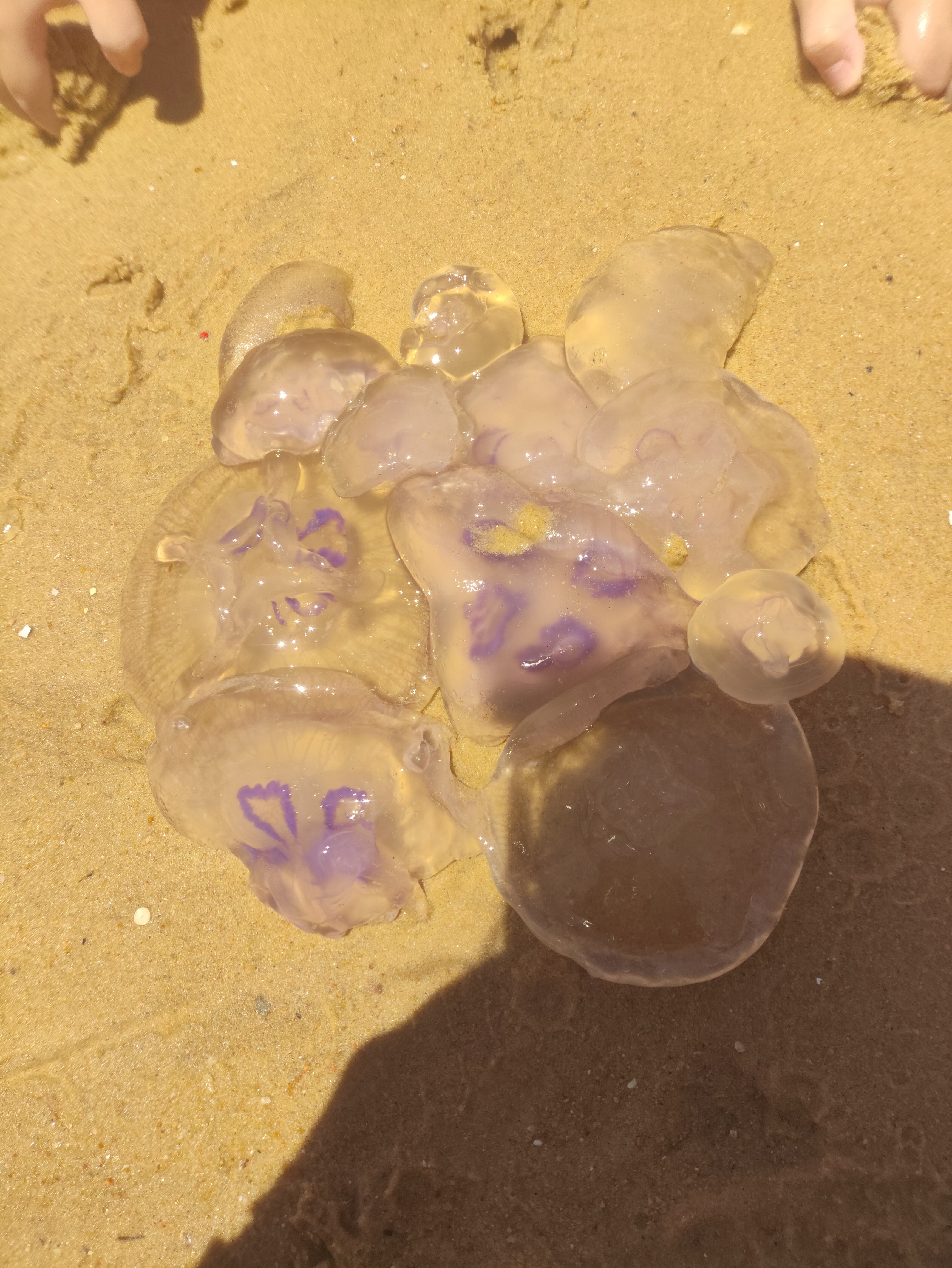 Фото 89227095207