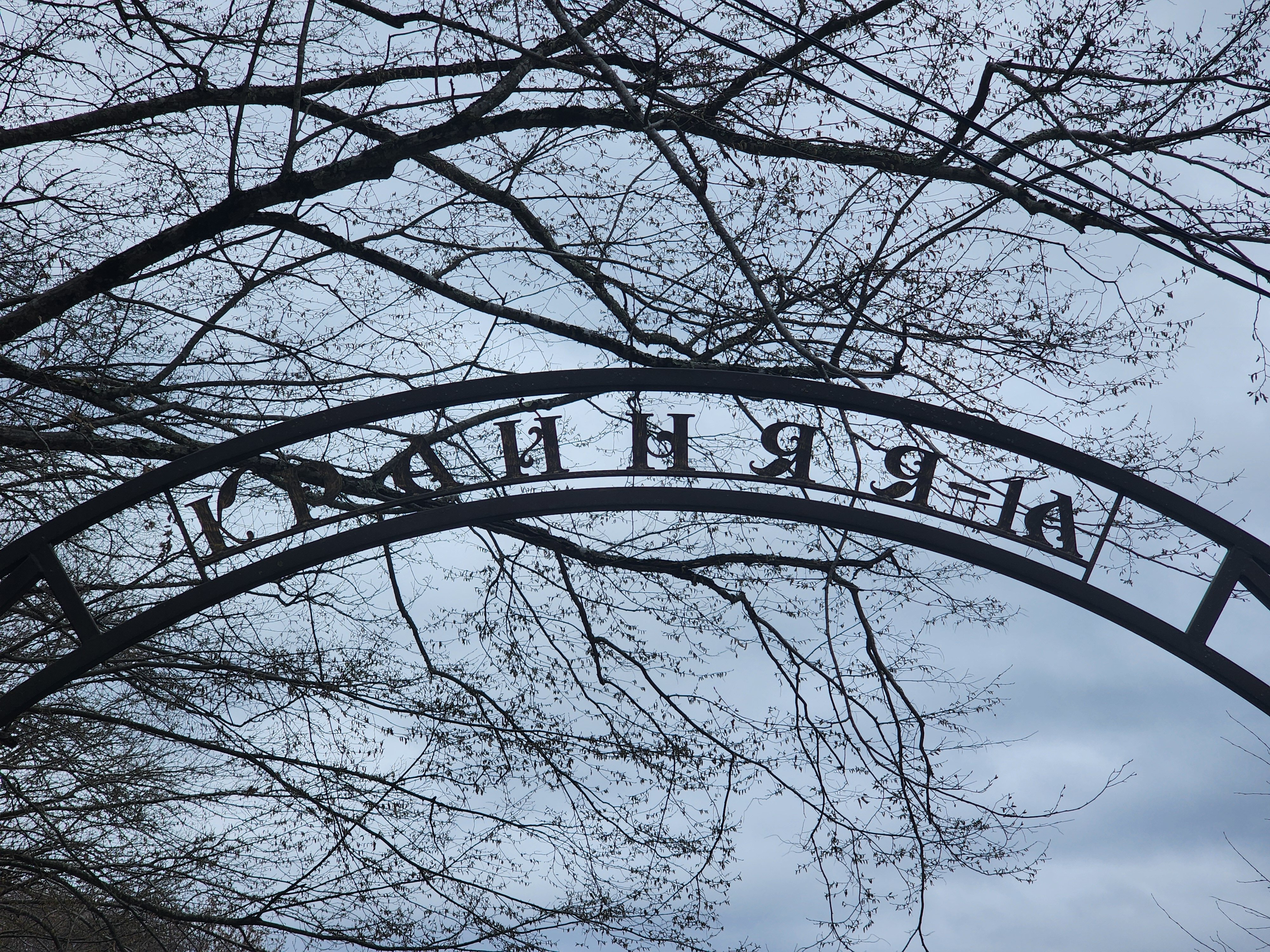 Фото Shelest Lesa