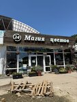 Magiya Cvetov (ulitsa Generala Trosheva, 17/1) ، محل زهور