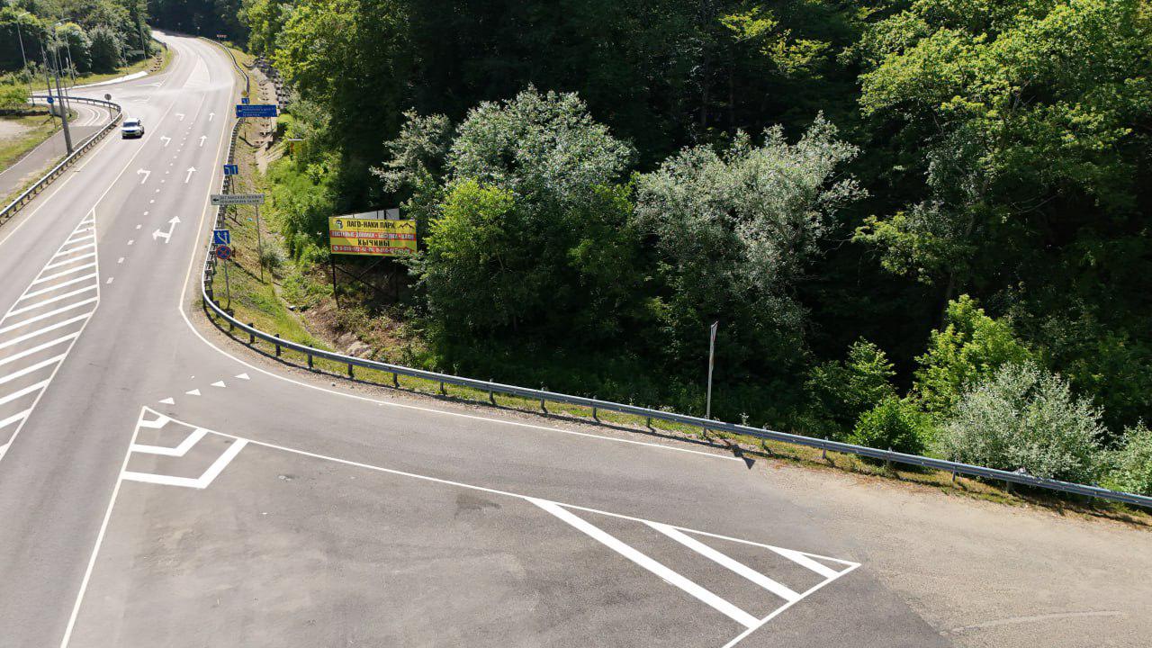 Фото Кактус Арт