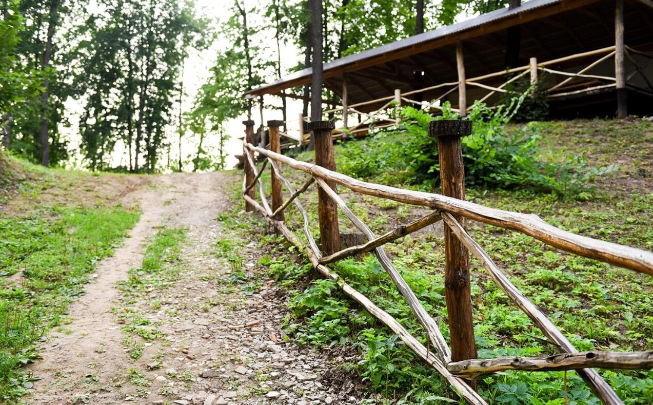 Фото Салампи