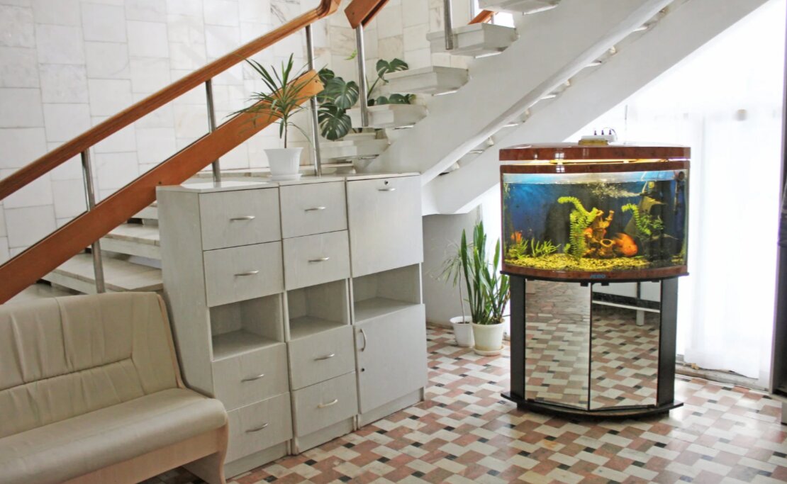 Фото Салампи