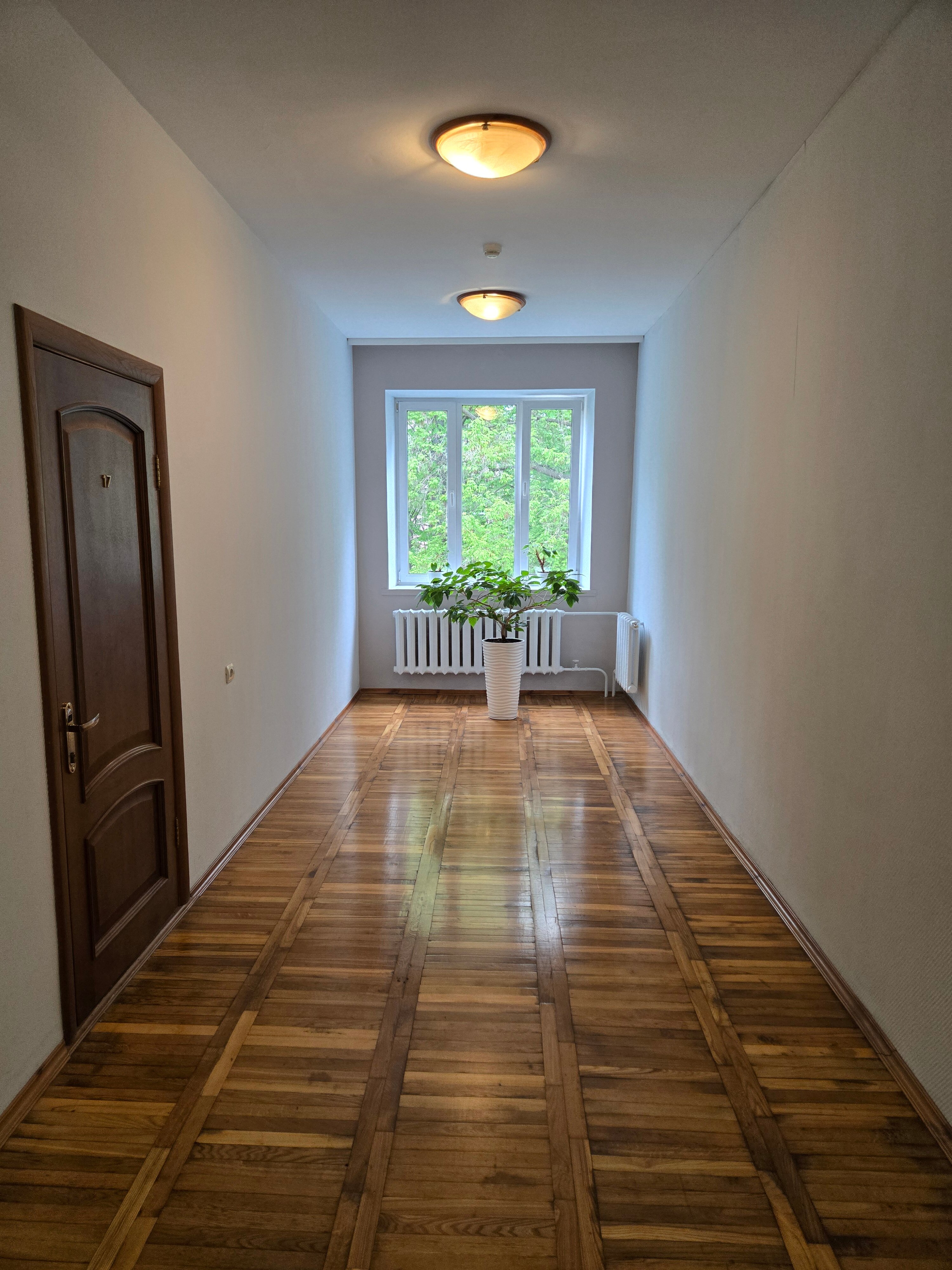 Фото Звёздный