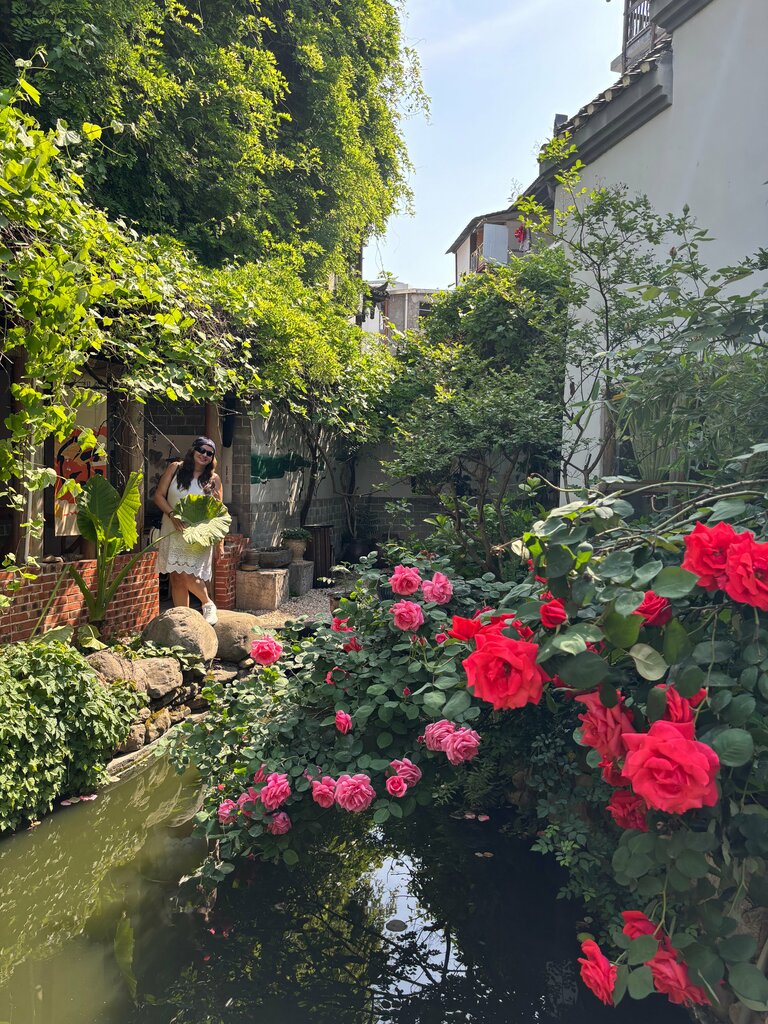 Hotel Dielianhua Vega Inn Zhangjiajie, Zhangjiajie, photo