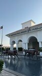 Al Habtoor Polo Resort & Club (1, Al Habtoor Polo Resort & Club, Dubai Land, Dubai), horse riding