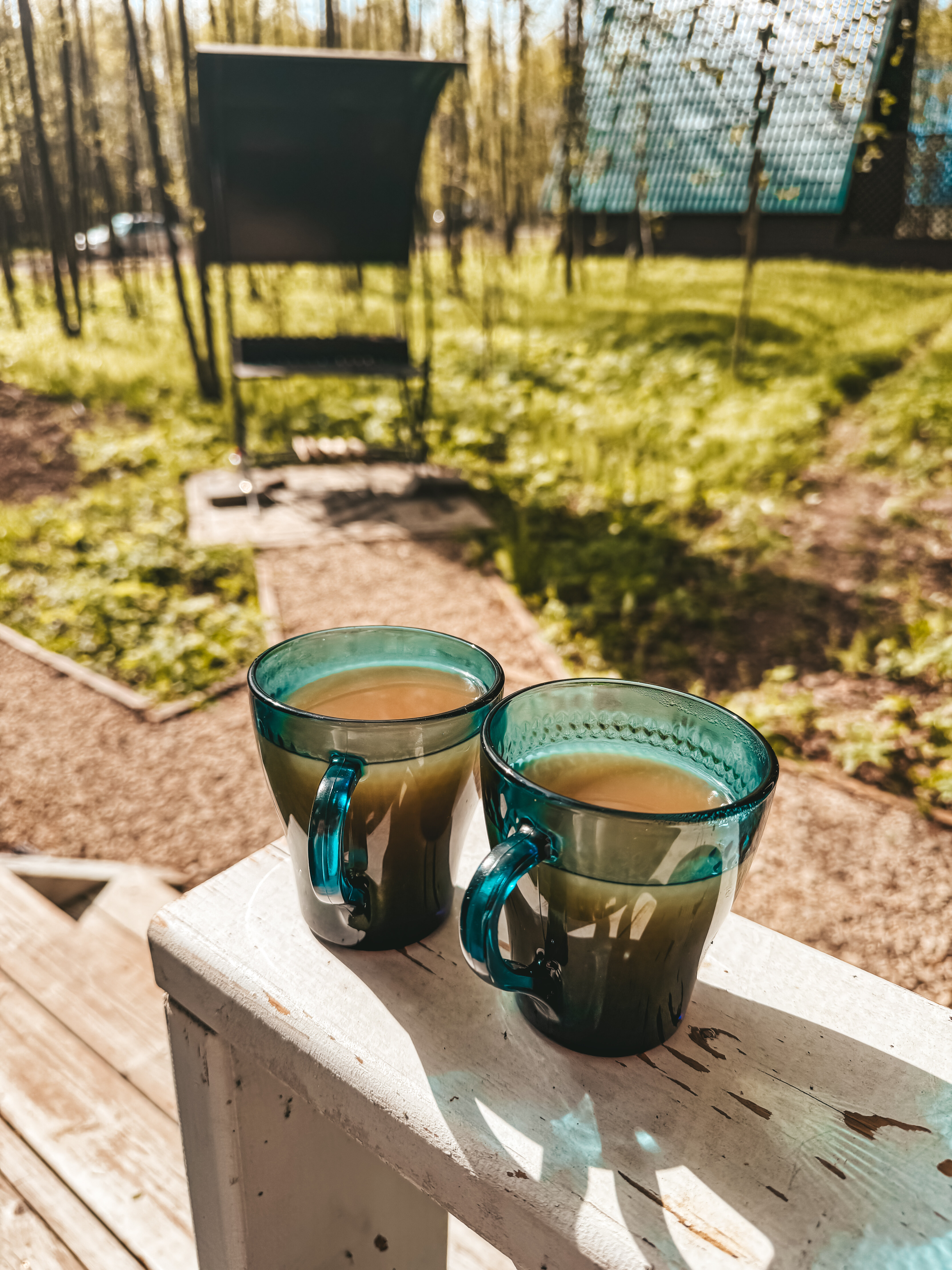 Фото Тишь да Лес