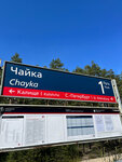 Chayka Station (Leningrad Region, Lomonosovskiy District, Lebyazhenskoye gorodskoye poseleniye) ، محطة سكة حديدية