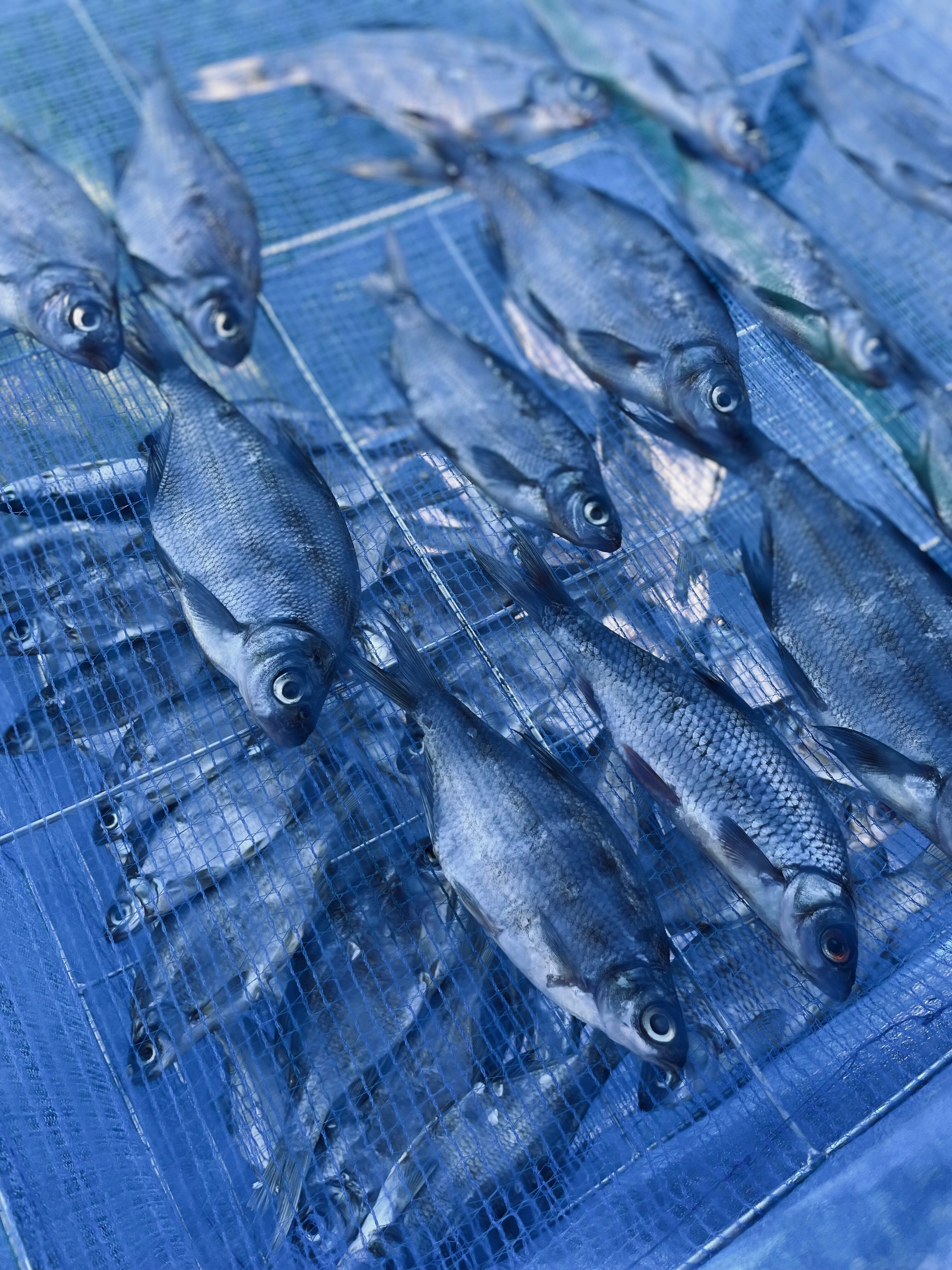 Фото Дом рыбака Дунаец