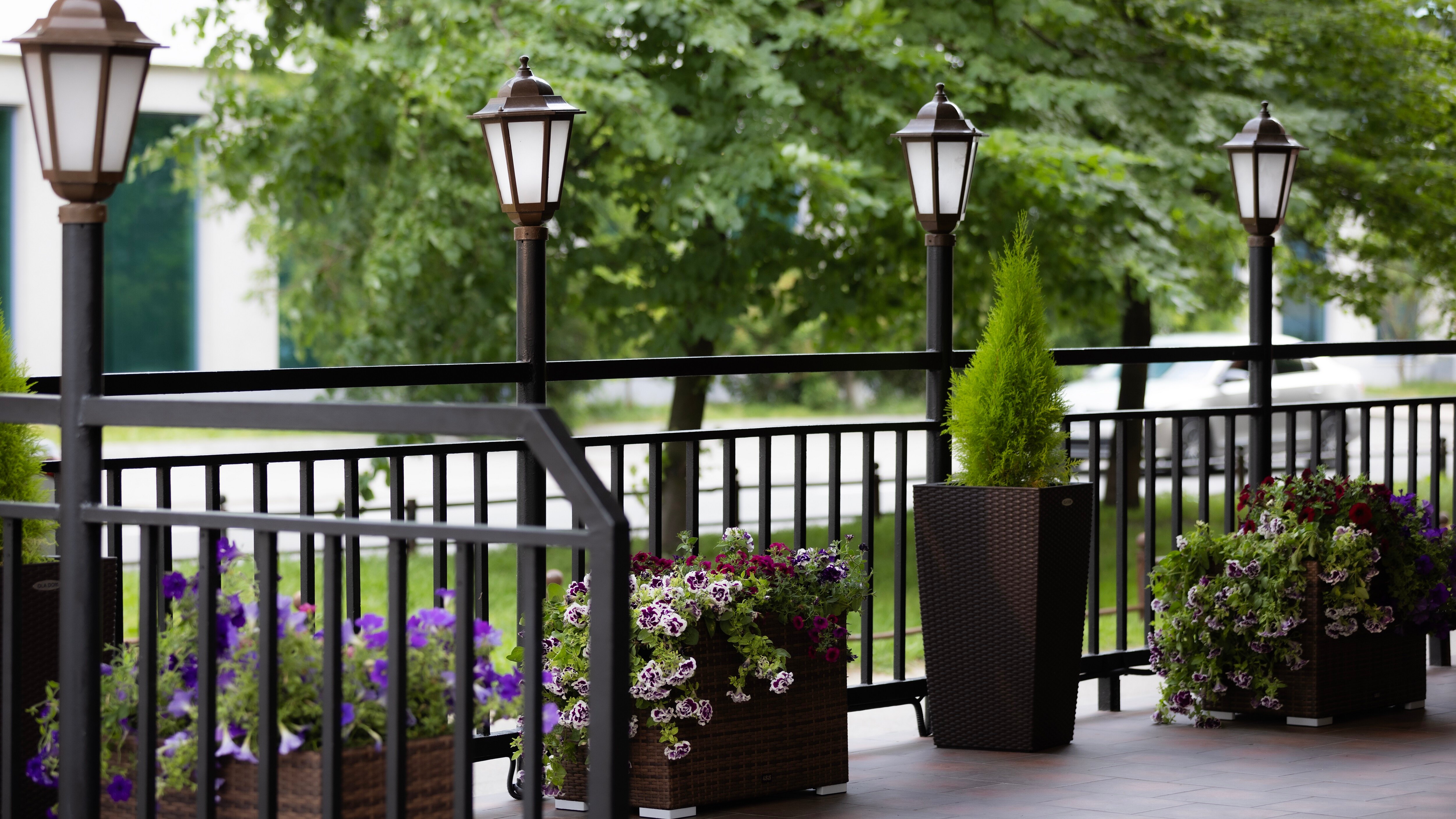 Фото Карпинский