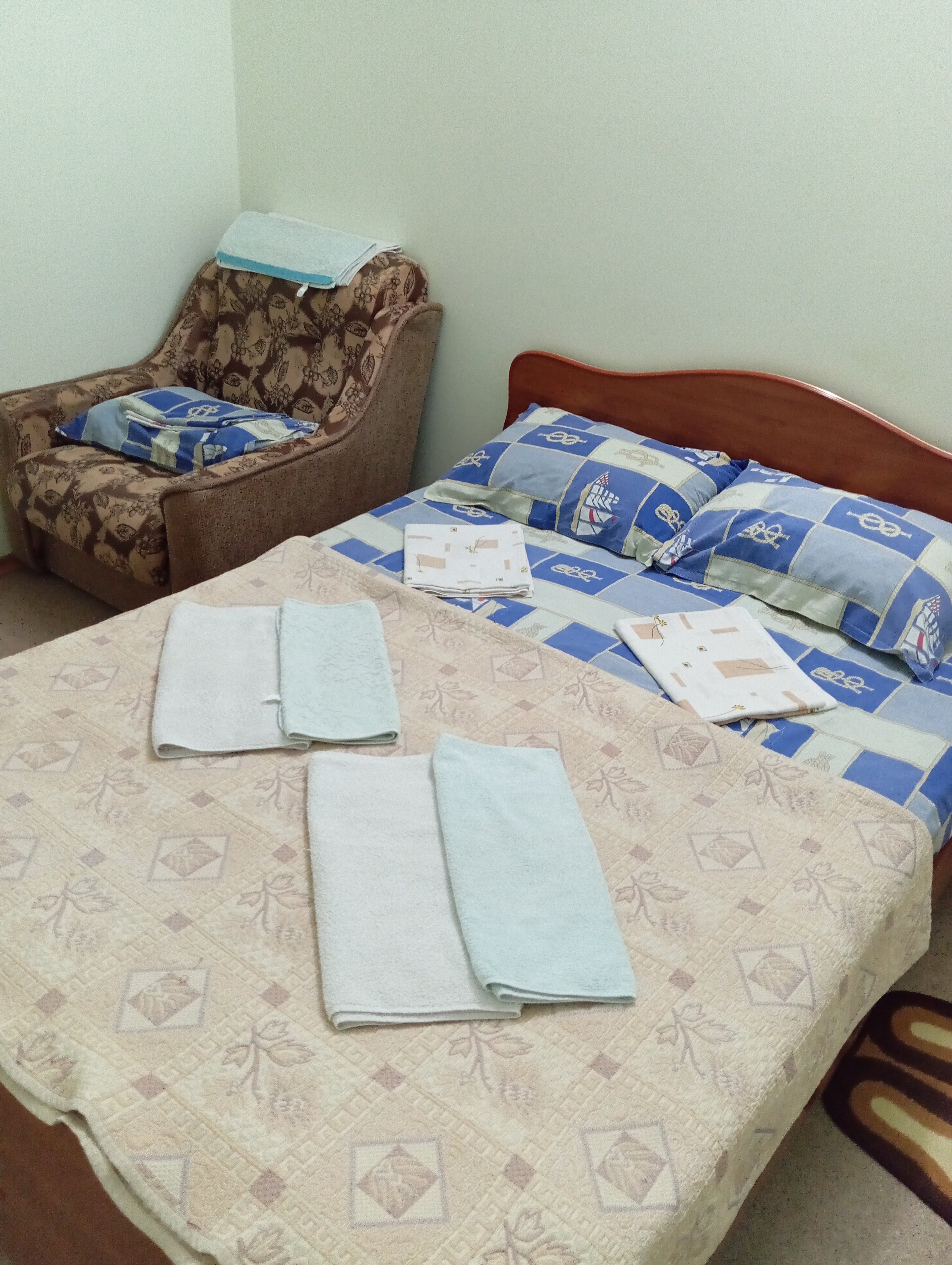 Фото Серебристая Чайка