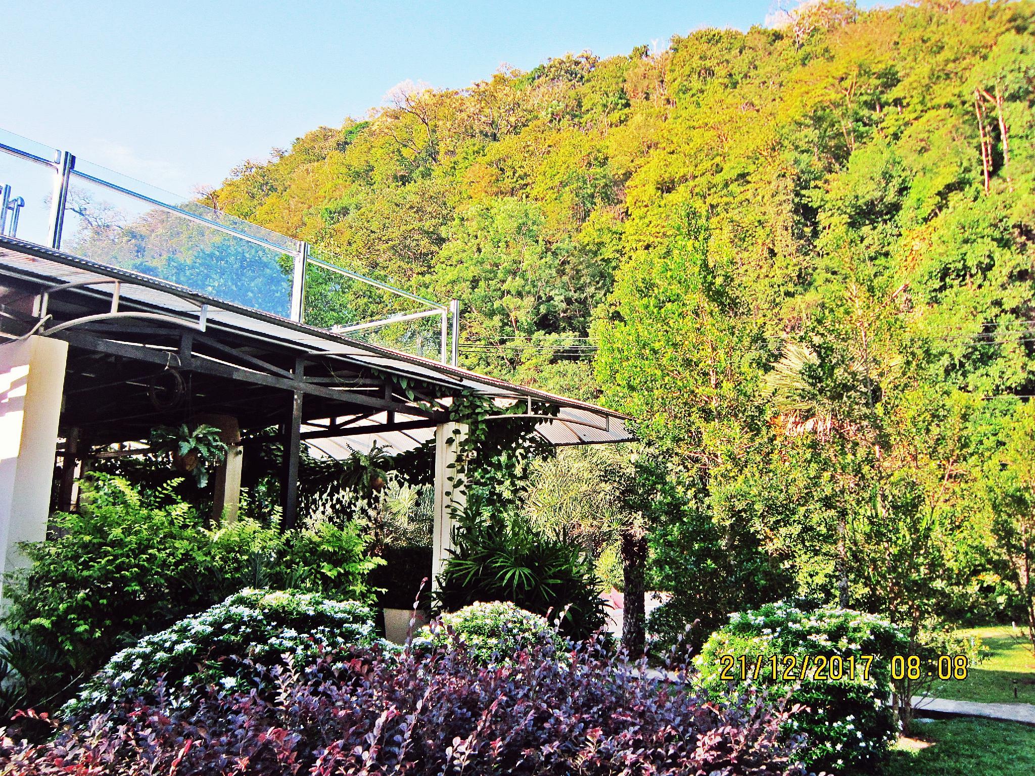 Фото V Valley Resort