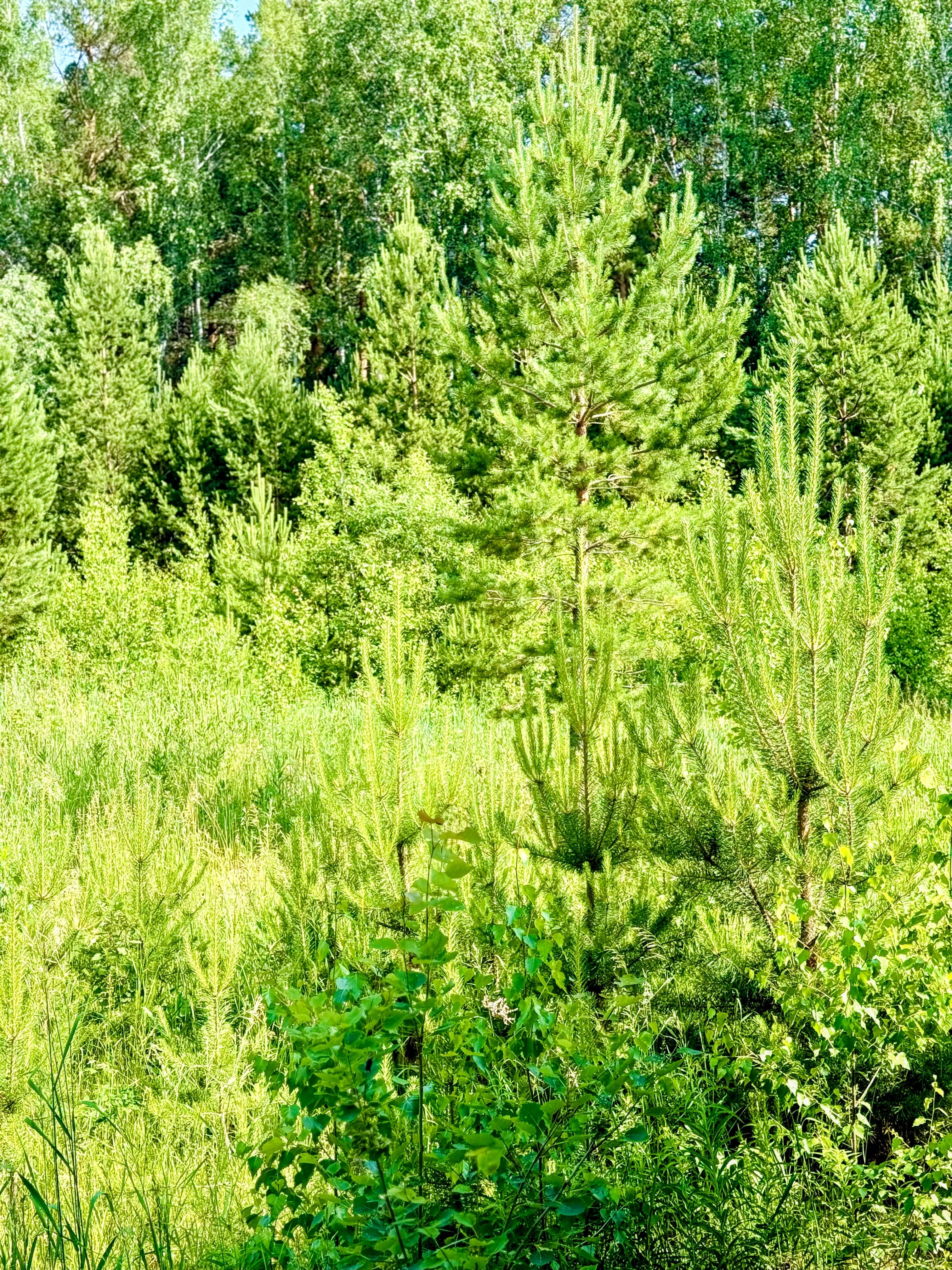 Фото БелкиПарк