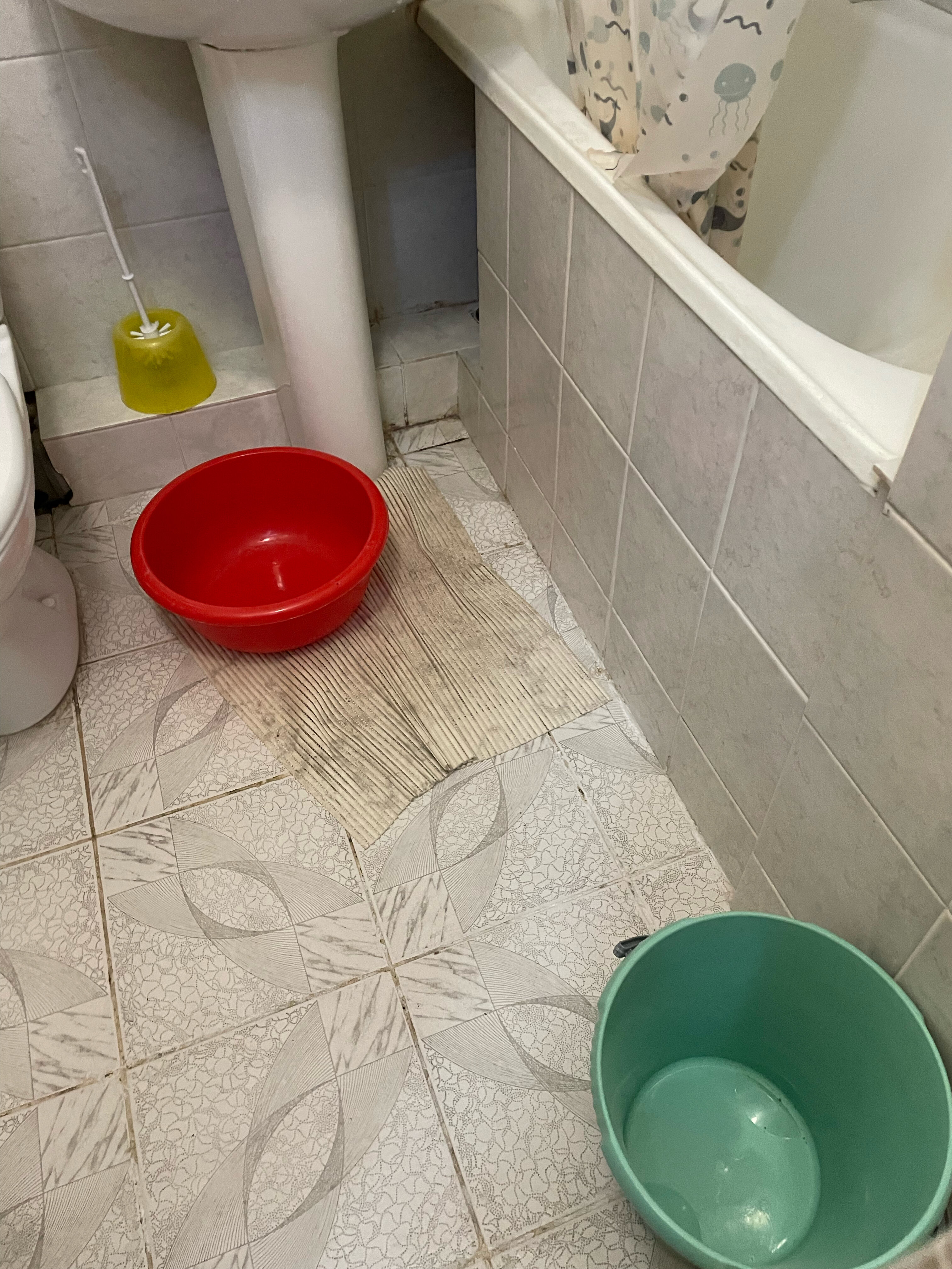 Фото Морская звезда