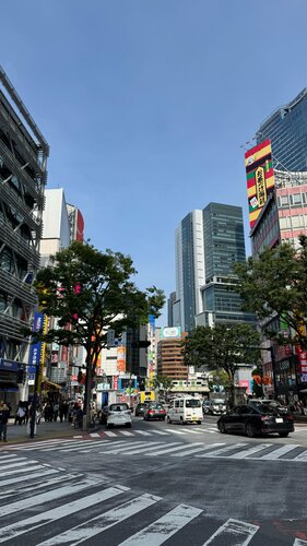 Turistik yerler Shibuya Scramble Crossing, Tokyo, foto