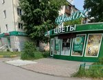 Magazin tsvetov (Lenin Avenue, 34А), flower shop