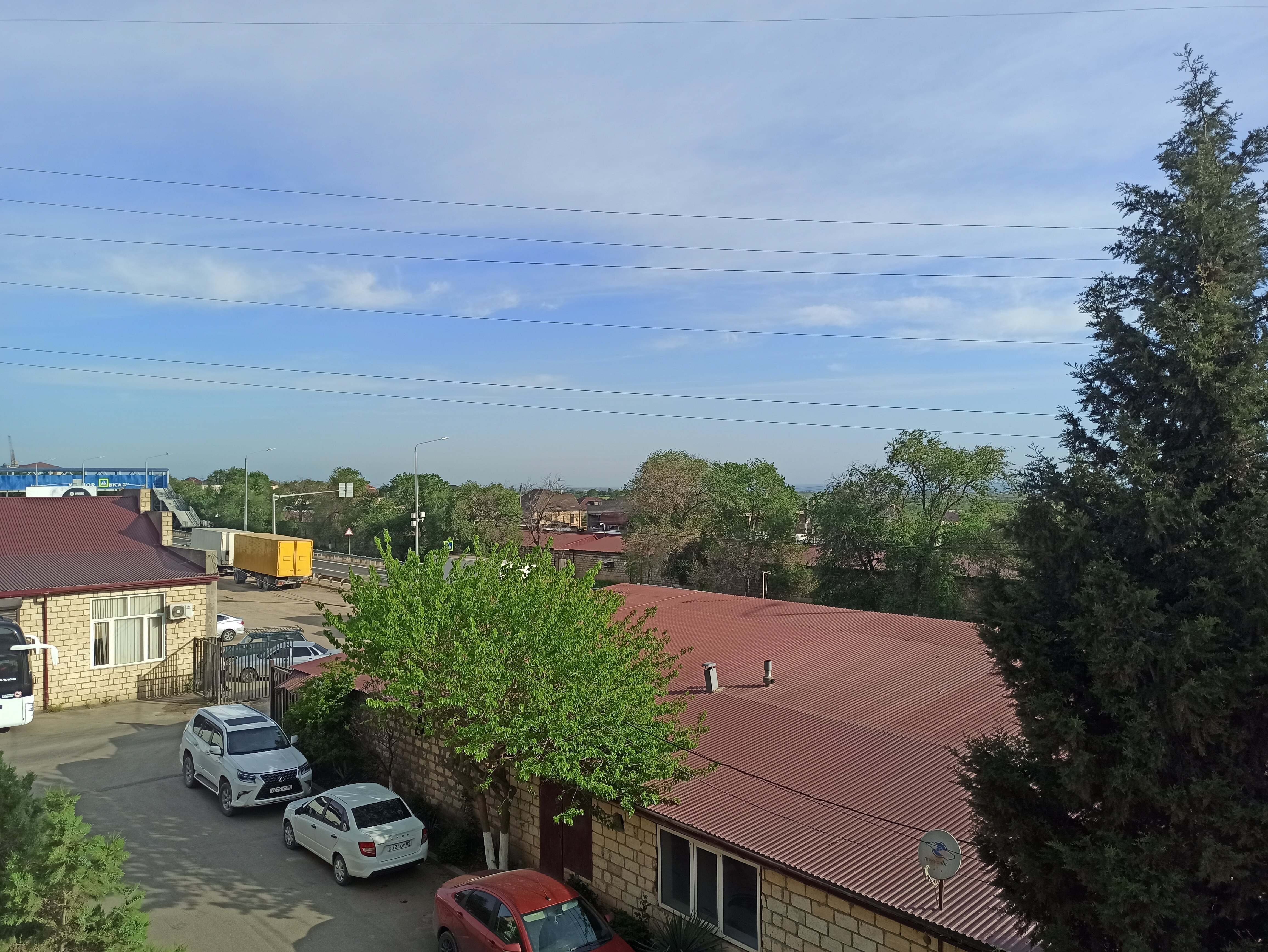 Фото Апельсин