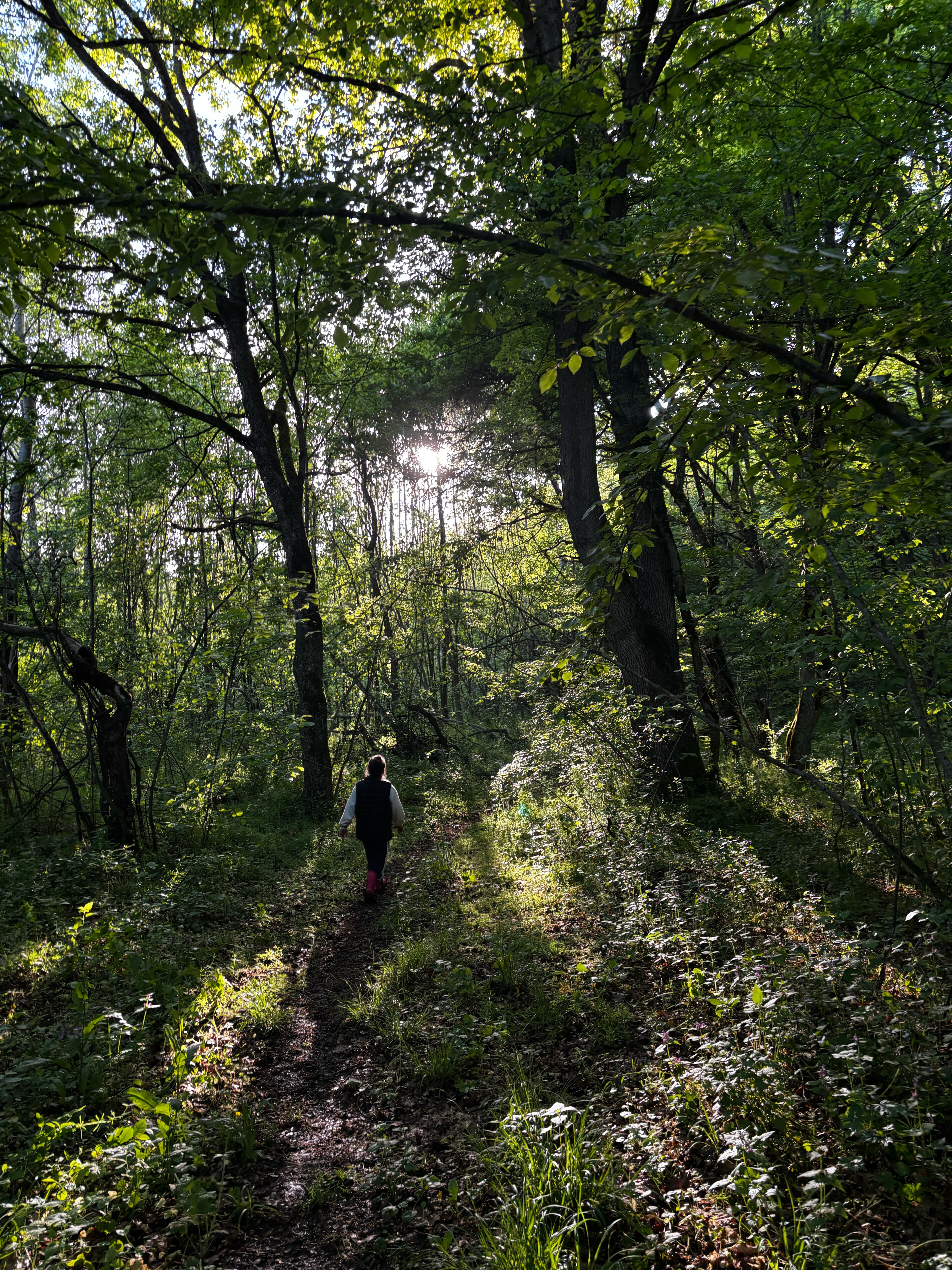 Фото Гостевой дом Лисы