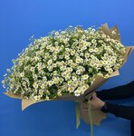 Lux-flowers (derevnya Zhukovka, Rublyovo-Uspenskoye shosse, 204), flower shop