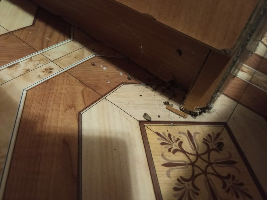 Resort Aksom-2 Recreation center, Krasnodar Krai, photo