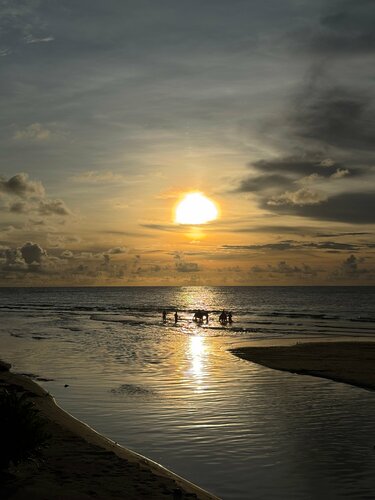 Внешний вид отеля Sunwing Kamala Beach в Камале, фото 5