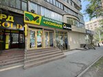 DM Микрокредит (Pushkin Street, 41), organización de microfinanzas