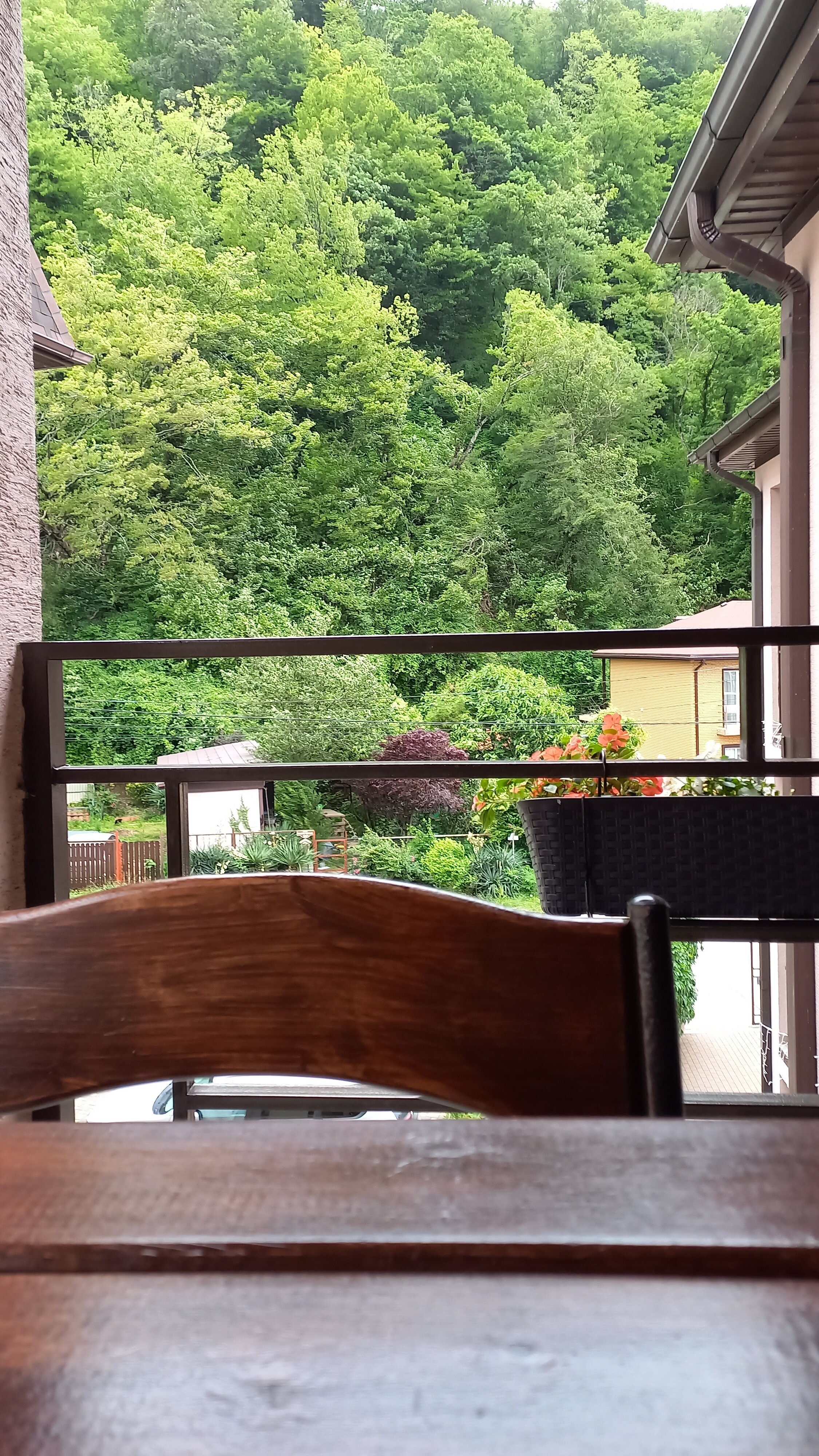 Фото Брауни